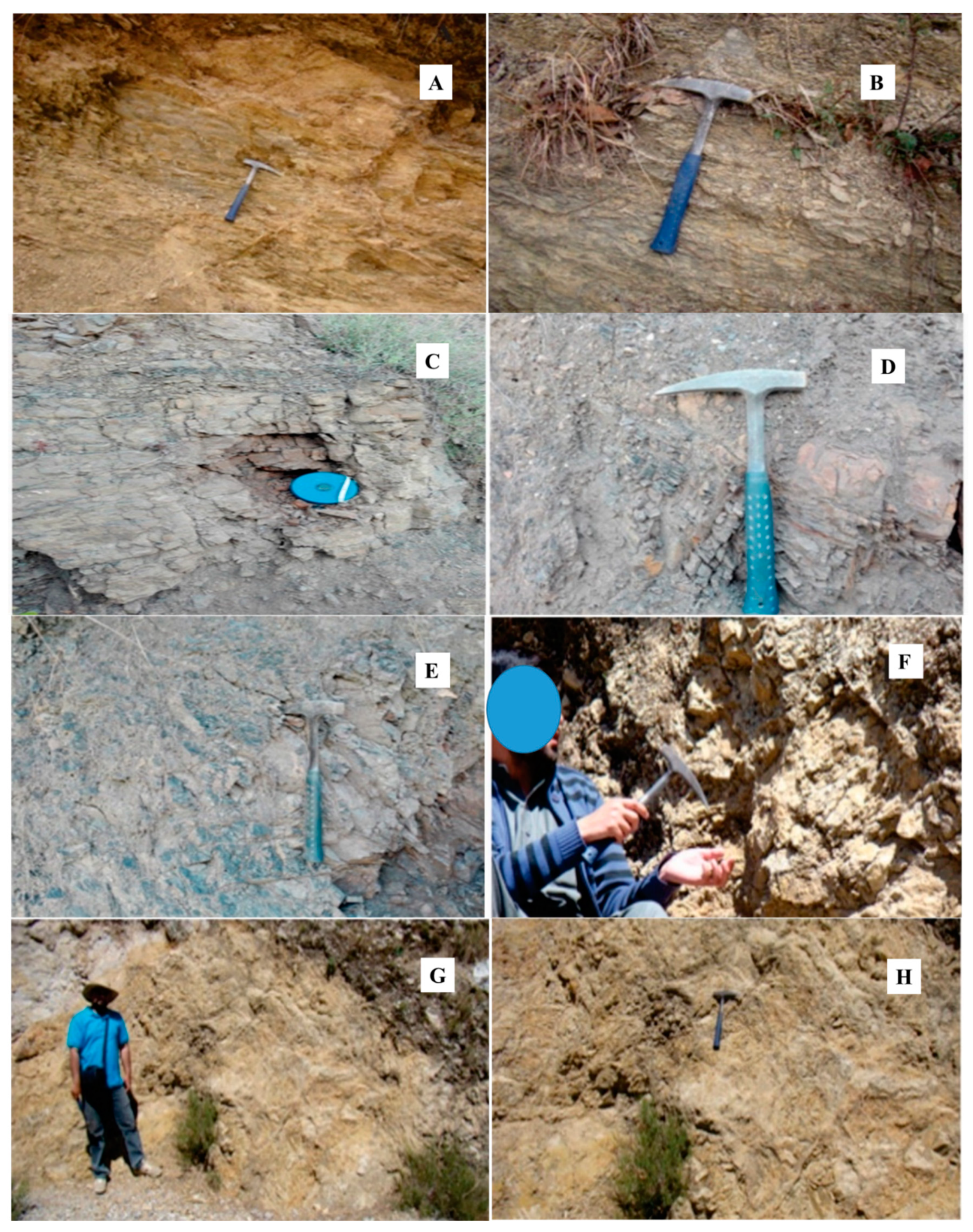 Jmse 10 00800 g003 Jmse 10 00800 g003