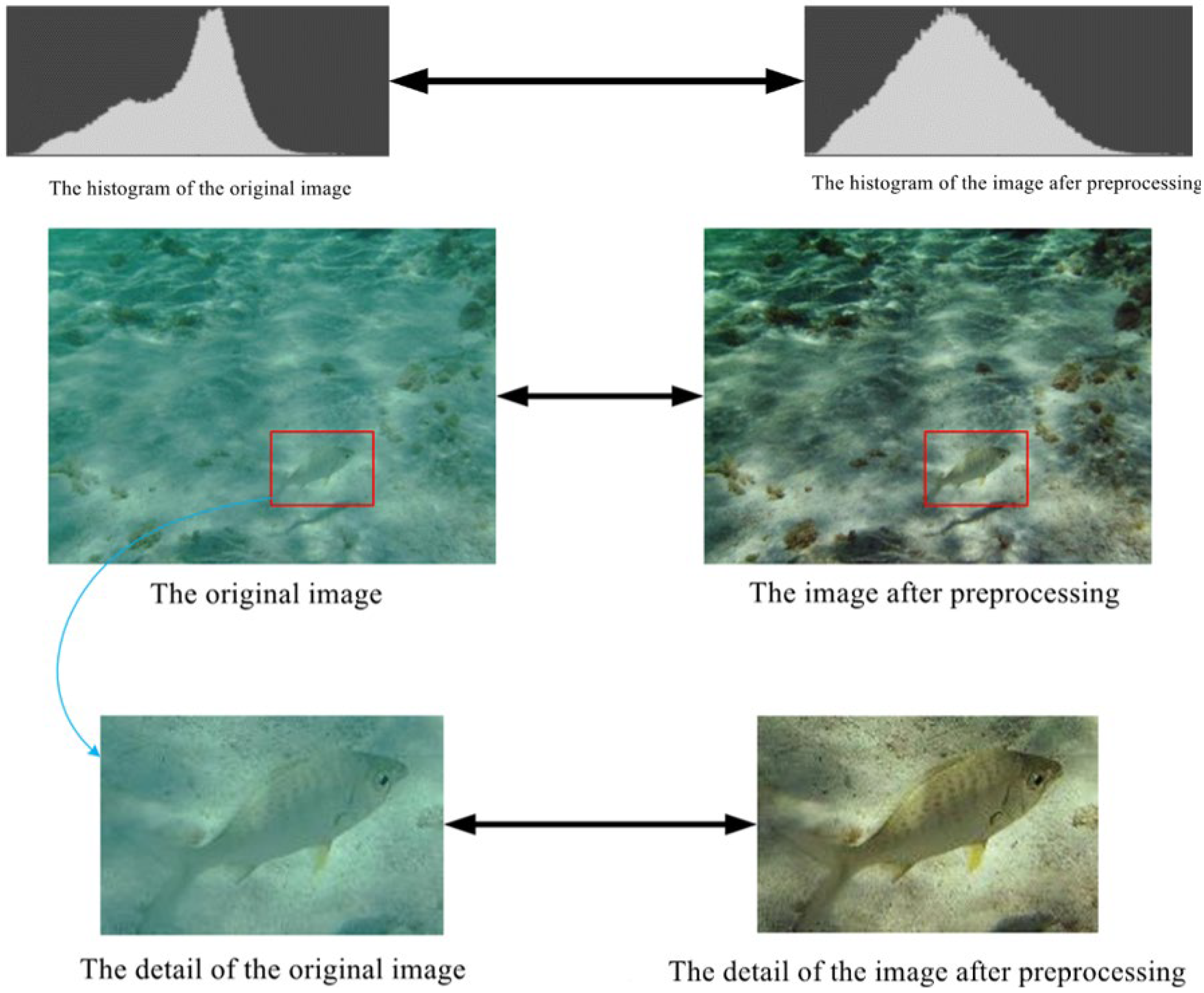 Jmse 10 00878 g002 550