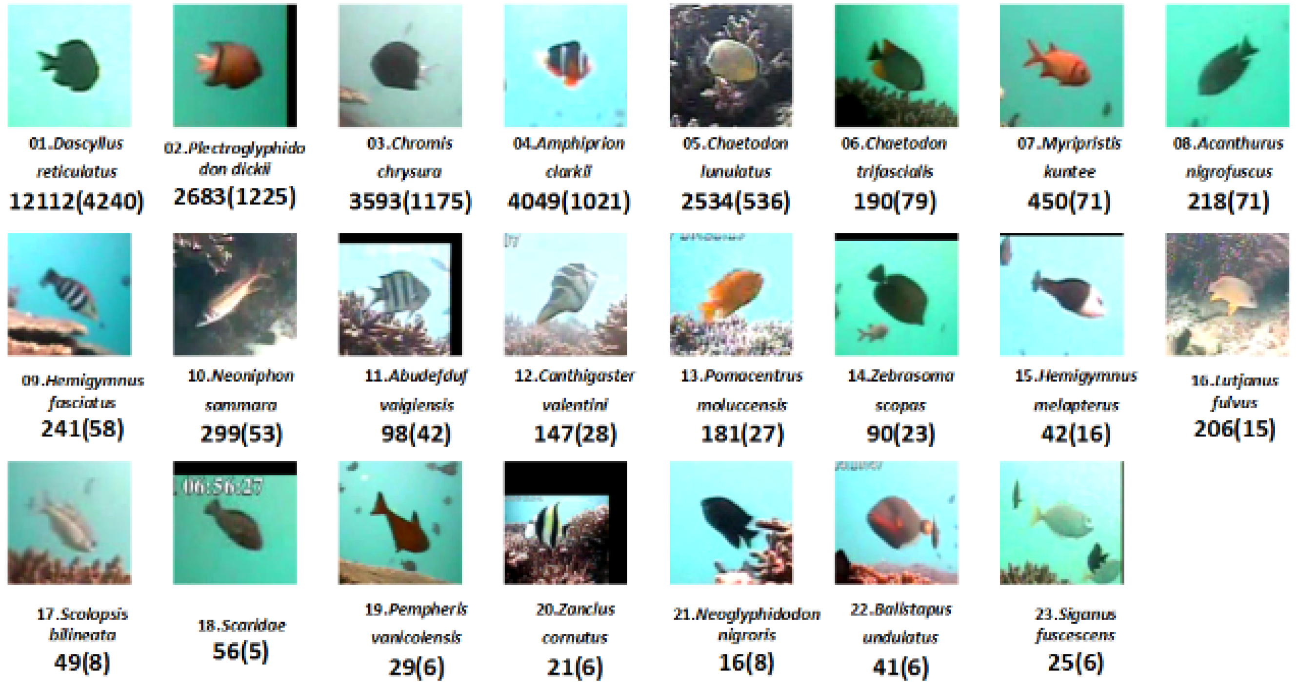 Jmse 10 00878 g007 550