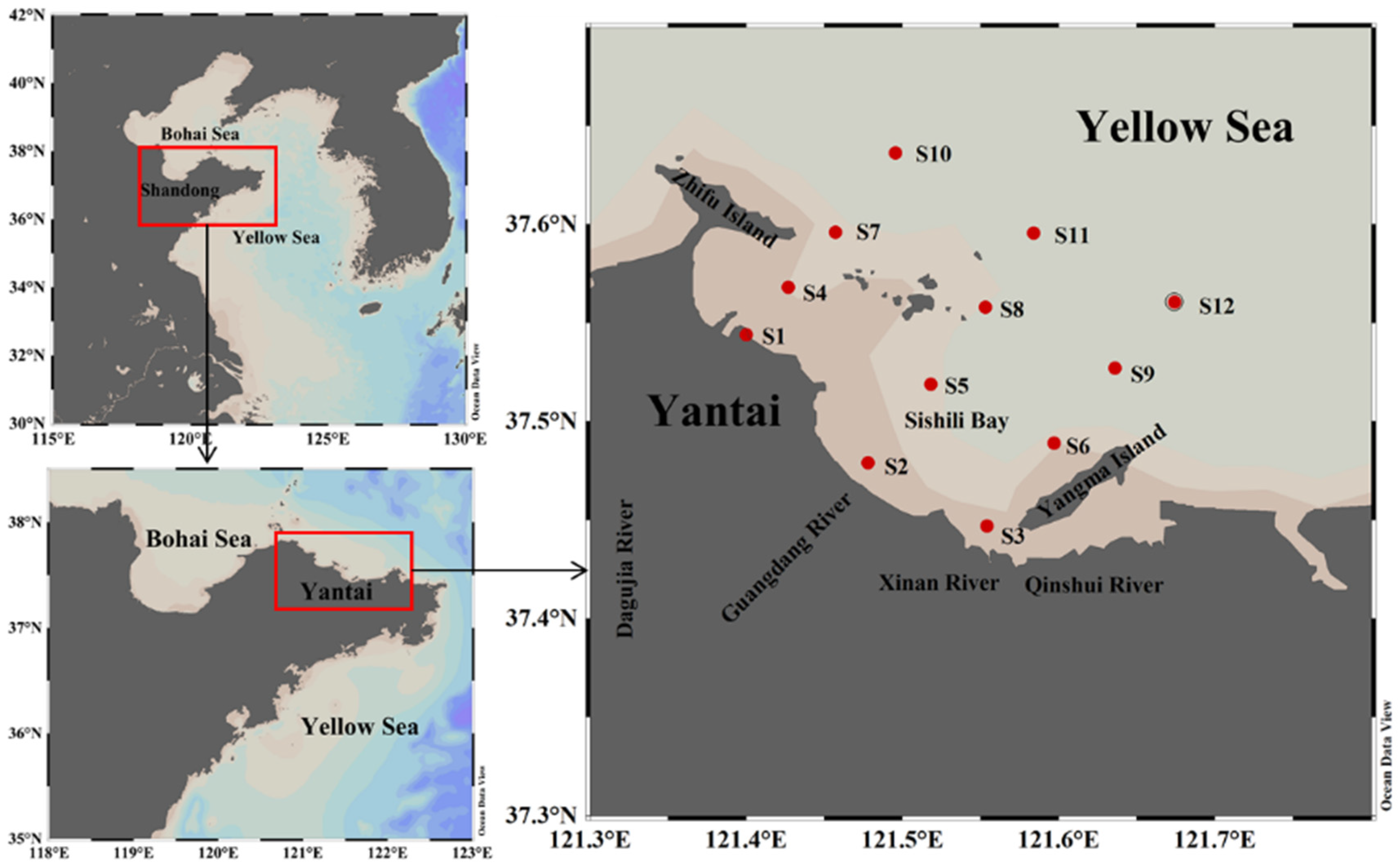 Jmse 10 00890 g001 550