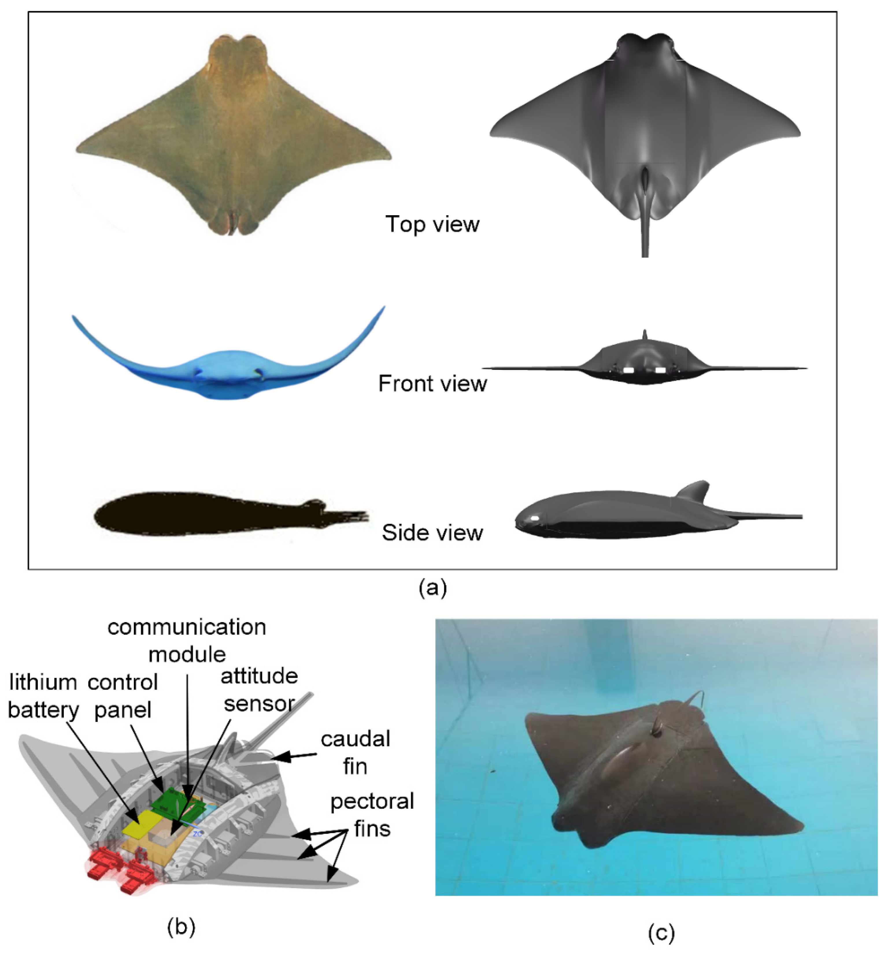 Jmse 10 00908 g003 550