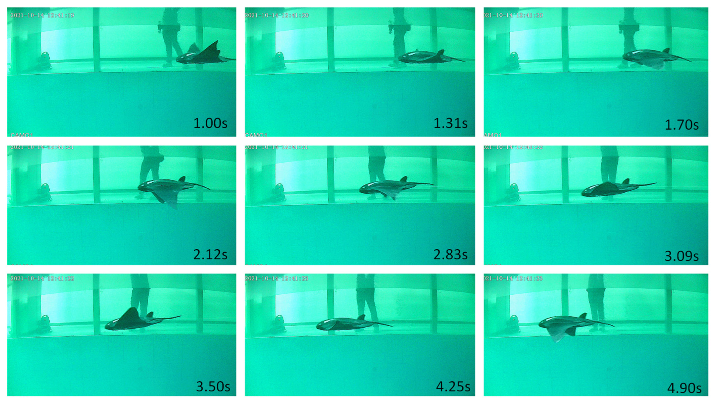 Jmse 10 00908 g008 550