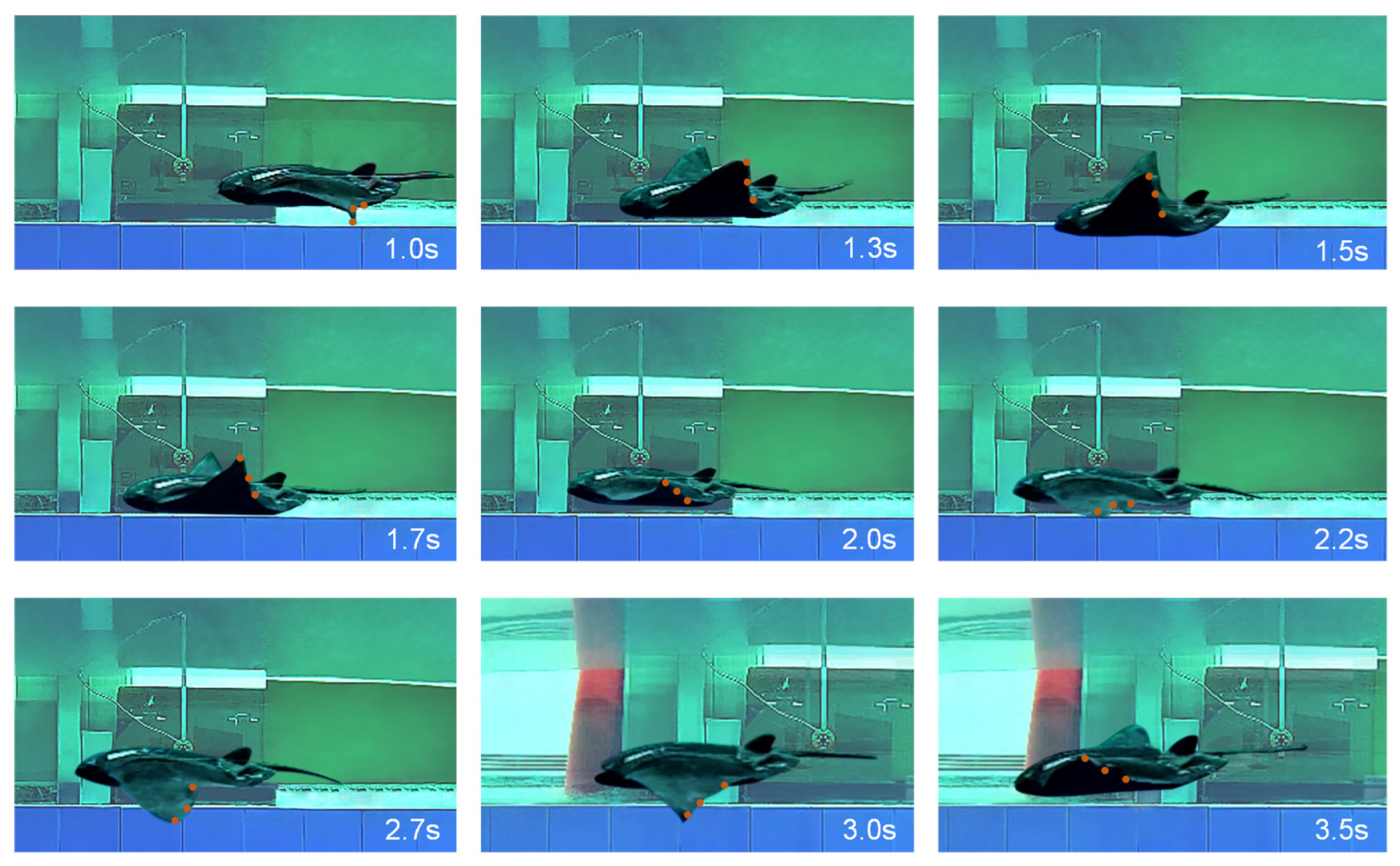 Jmse 10 00908 g011 550