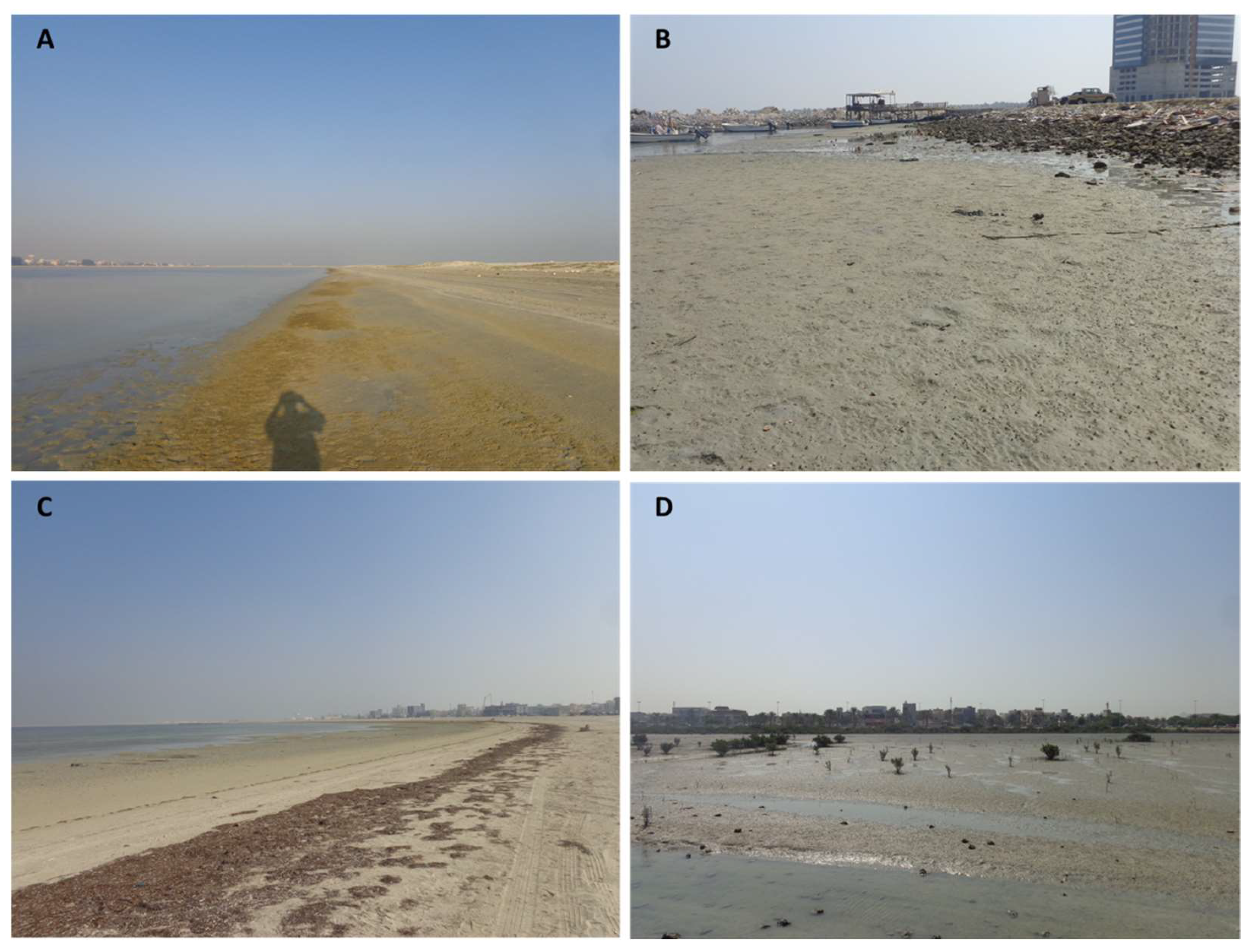 Jmse 10 00945 g002 550