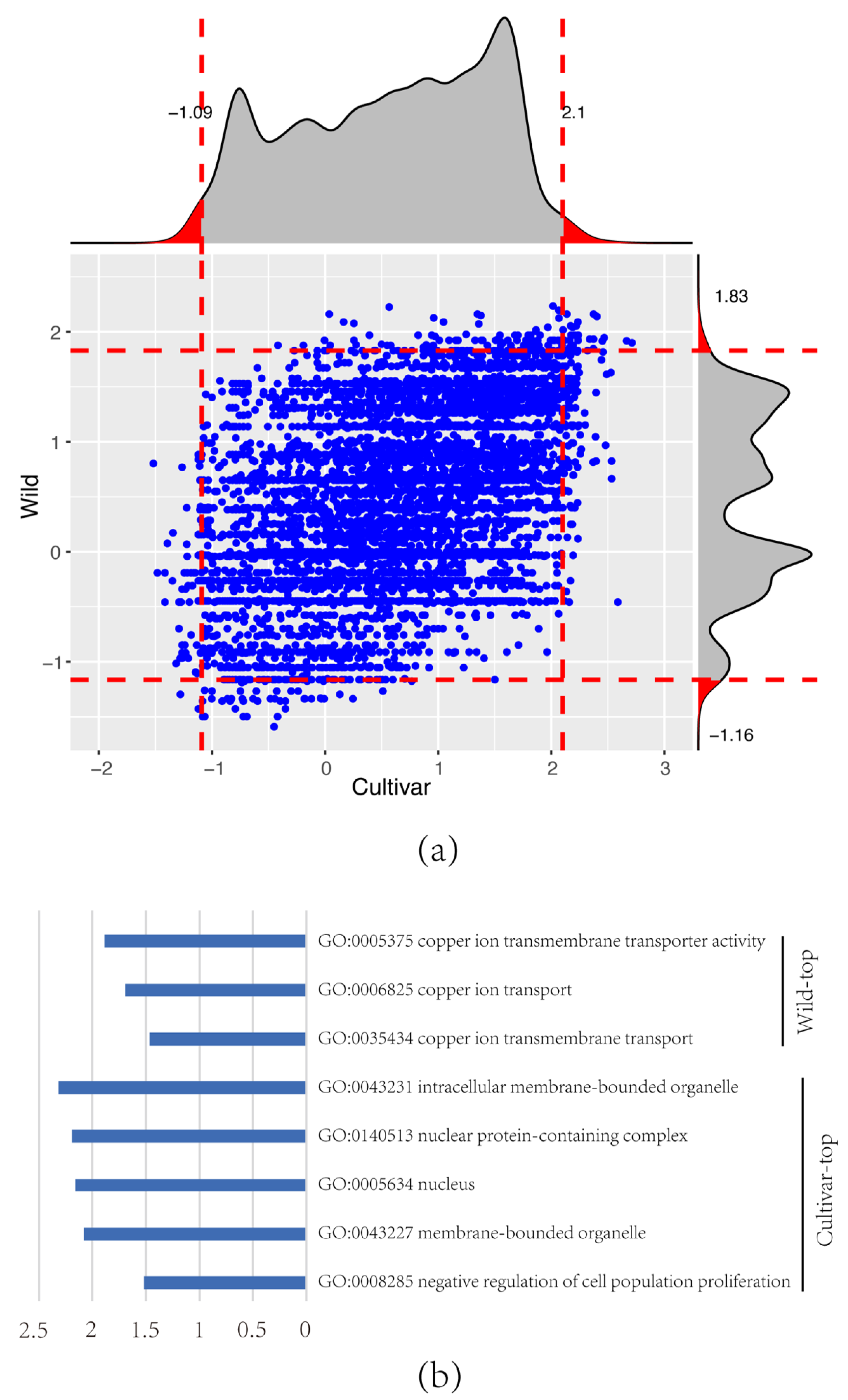 Jmse 10 00958 g003 550