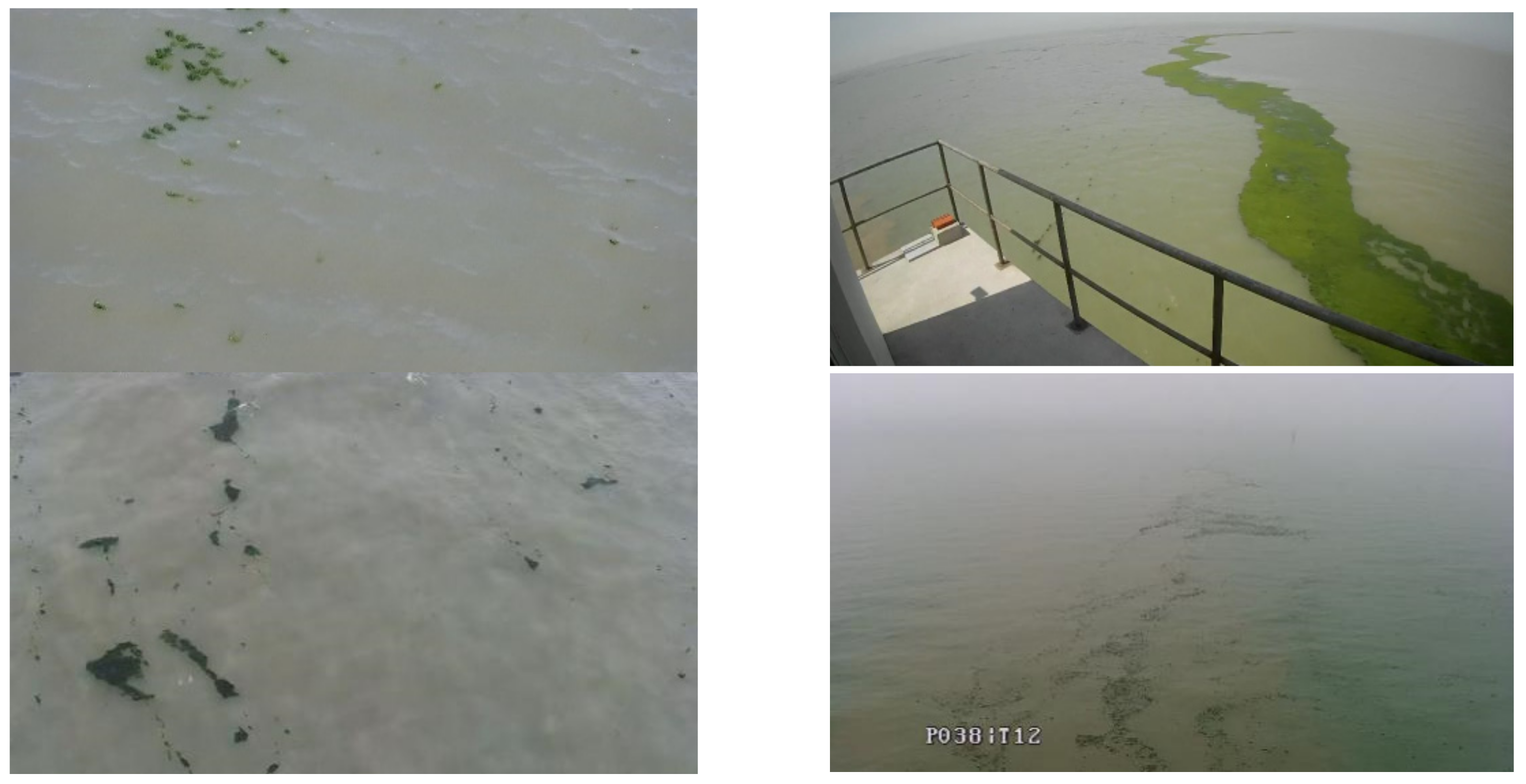 Jmse 10 01099 g004 550