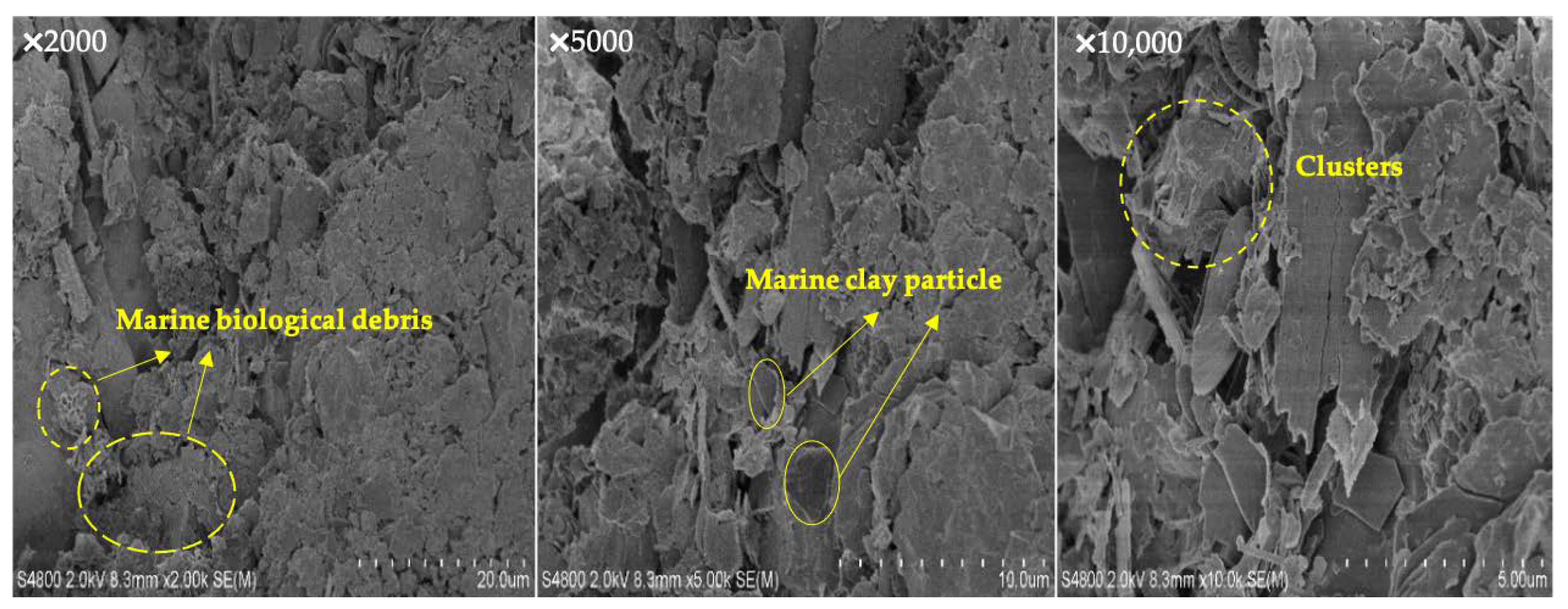 Jmse 10 01142 g006 550