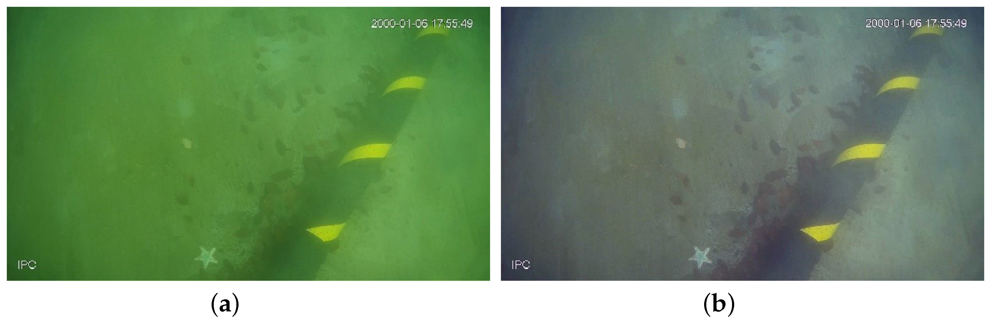 Jmse 10 01143 g002 550