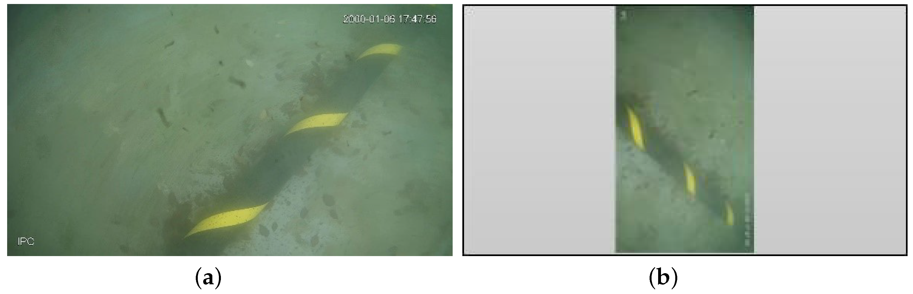 Jmse 10 01143 g003 550