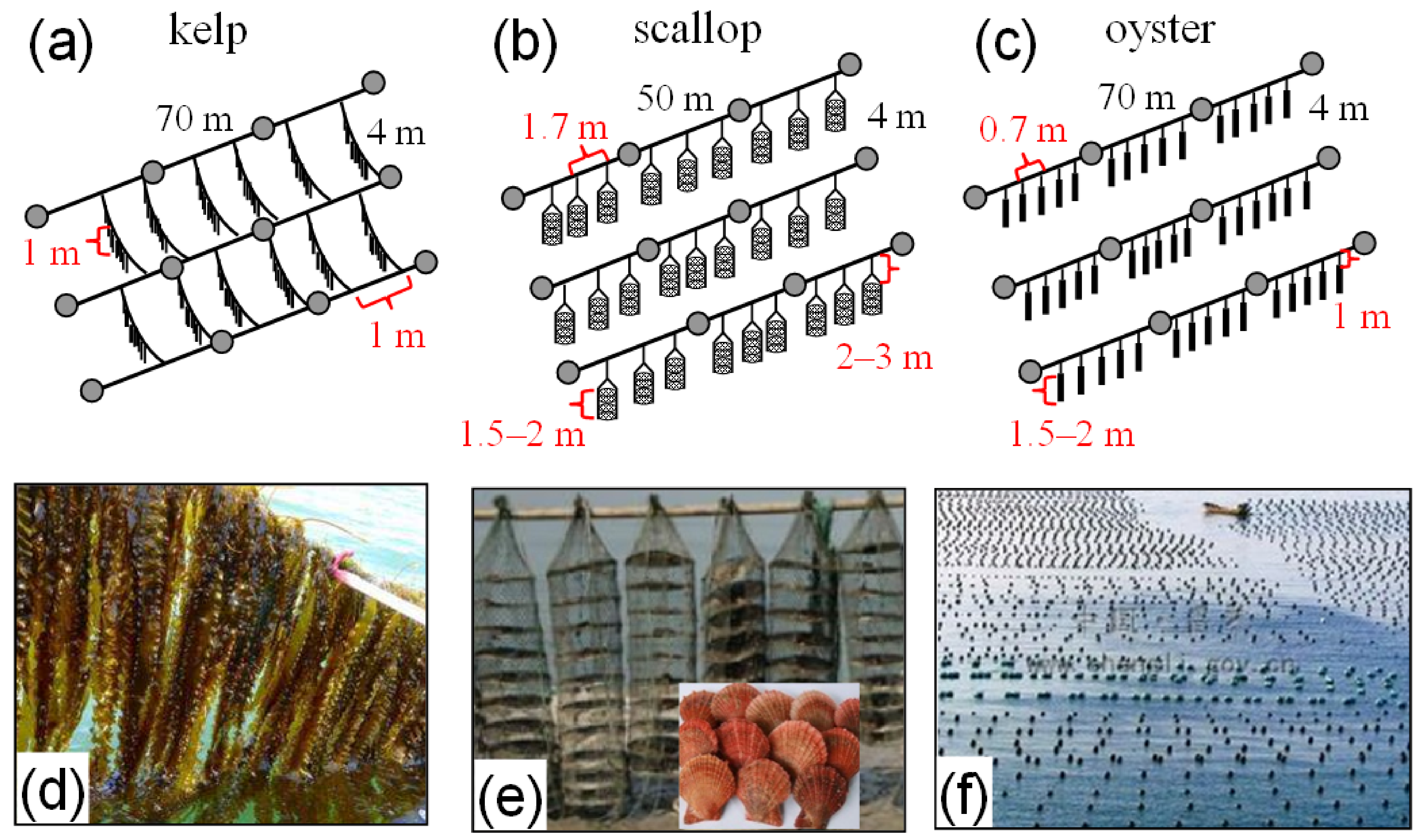 Jmse 10 01151 g003 550
