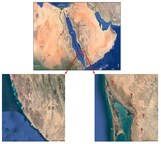 Evaluation of Soil Organic Carbon Stock in Coastal Sabkhas