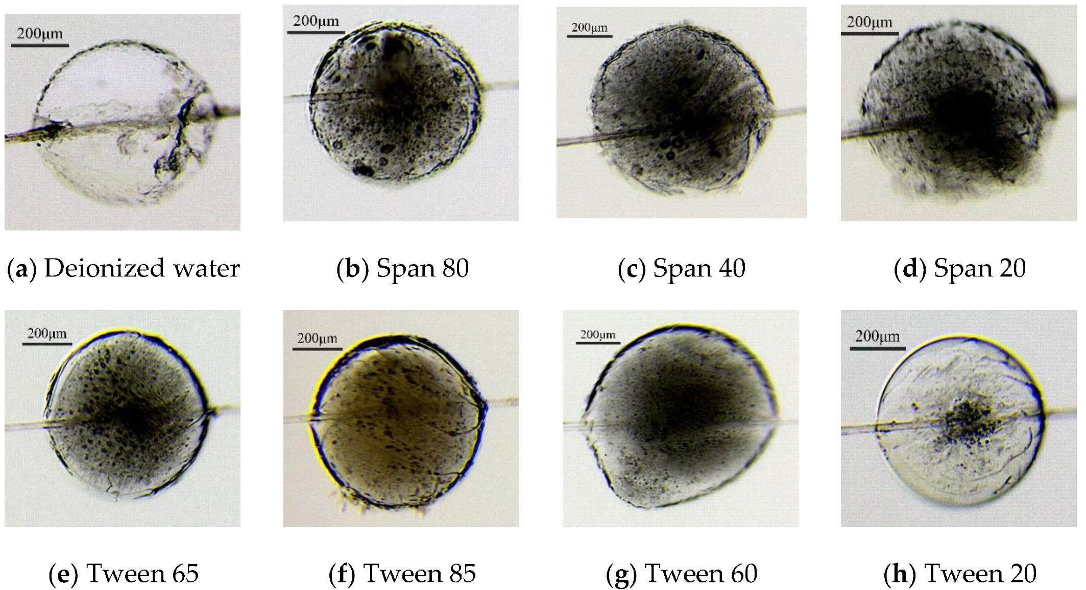 Jmse 10 01255 g007 550