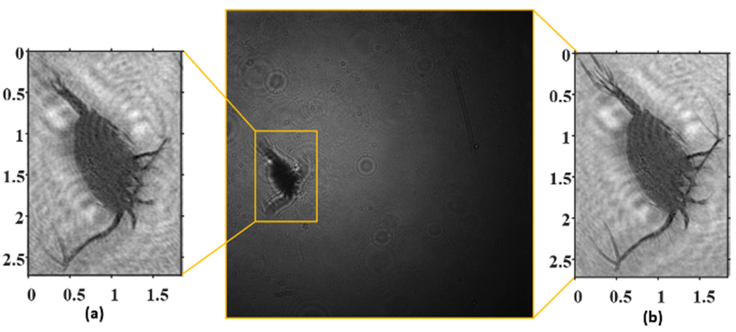 Jmse 10 01258 g007 550