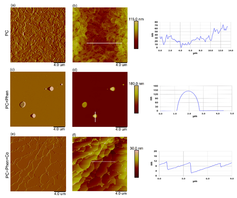 Jmse 10 01261 g005 550