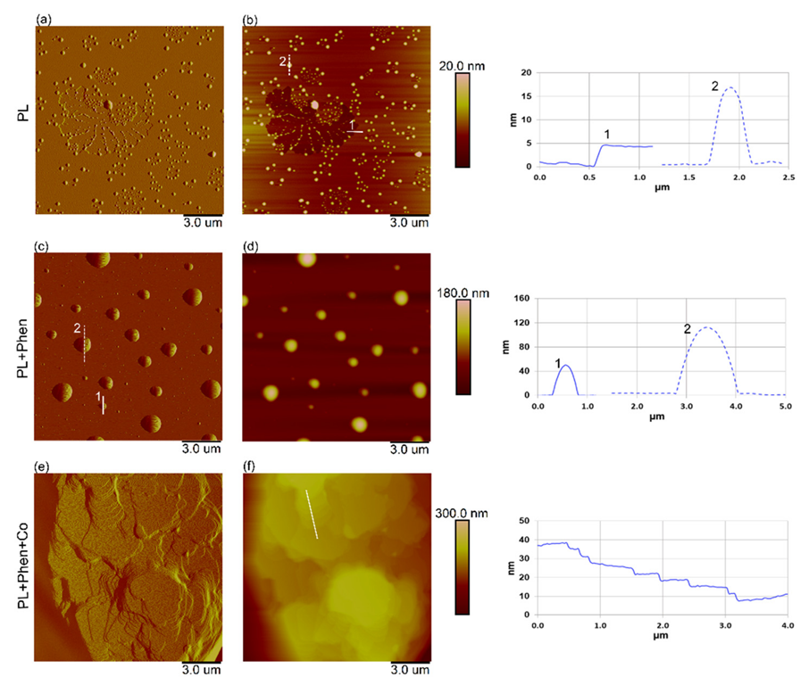 Jmse 10 01261 g006 550