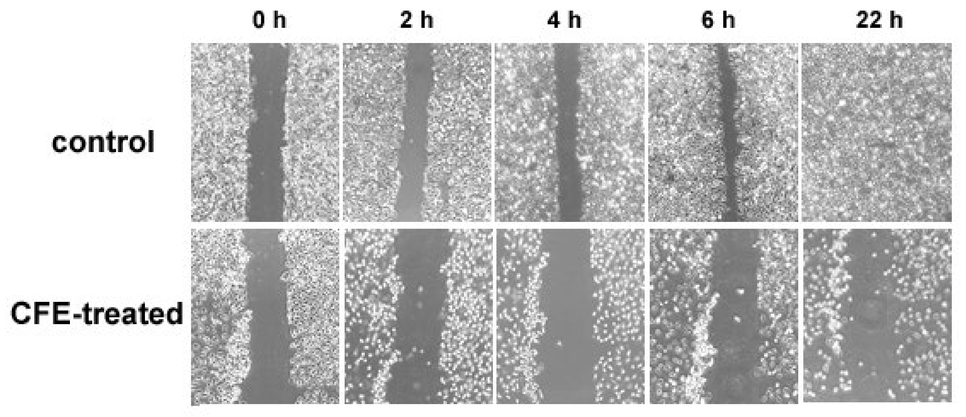 Jmse 10 01292 g010 Jmse 10 01292 g010