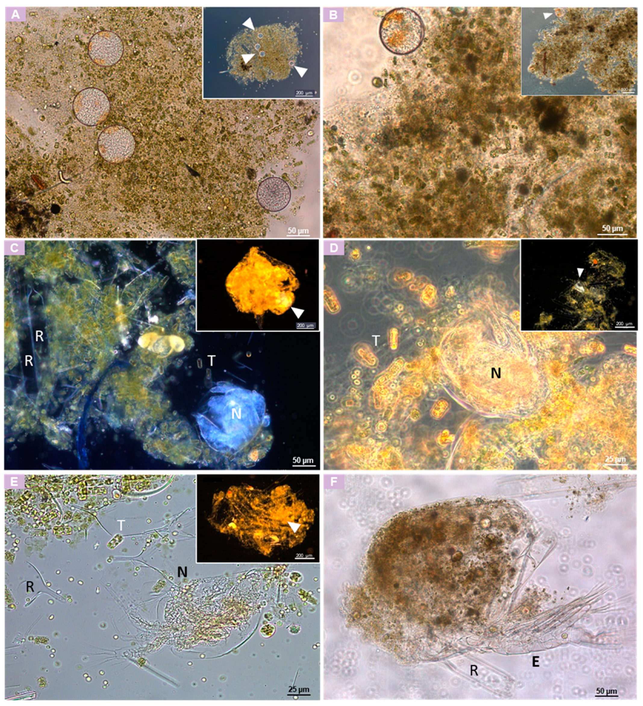 Jmse 10 01293 g002 Jmse 10 01293 g002