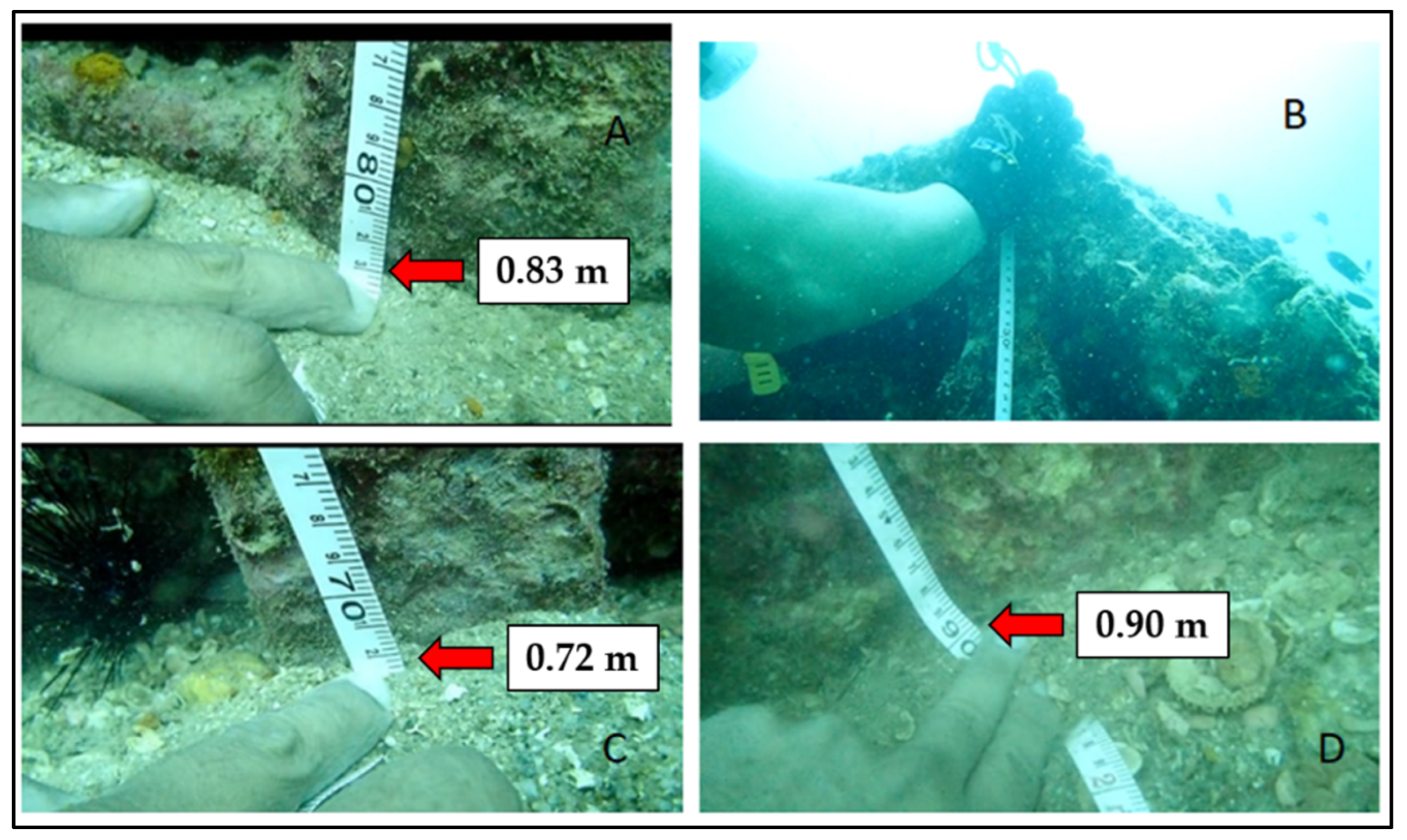 Jmse 10 01309 g005 Jmse 10 01309 g005