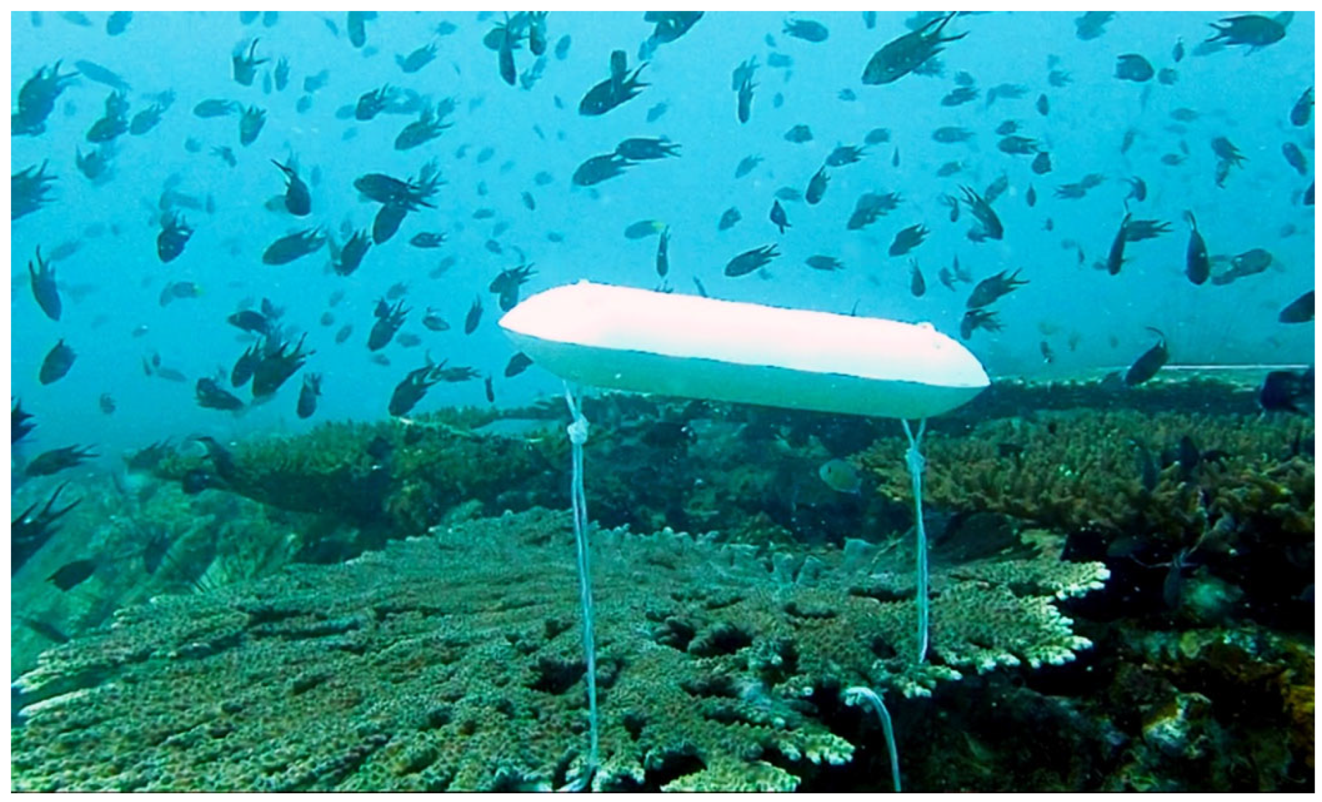 Jmse 10 01309 g010 Jmse 10 01309 g010