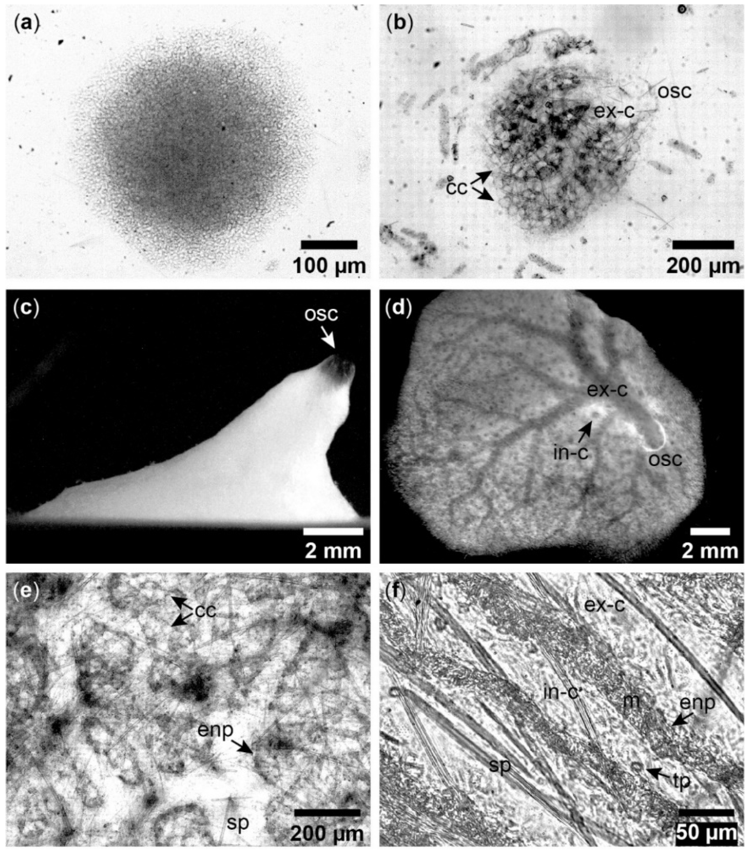 Jmse 10 01312 g0a2 Jmse 10 01312 g0a2