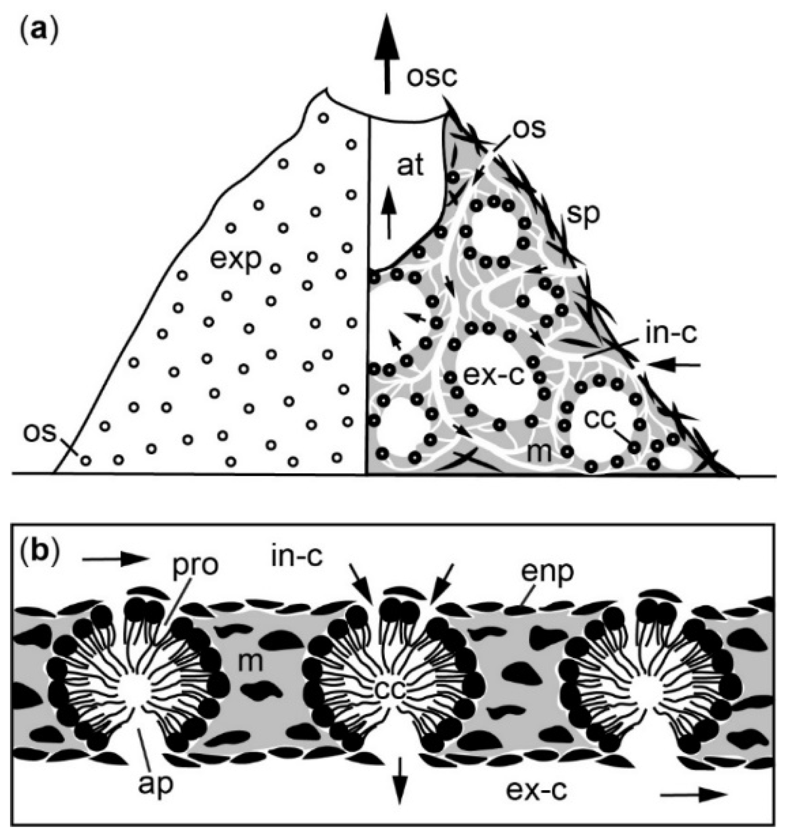 Jmse 10 01312 g0a3 Jmse 10 01312 g0a3