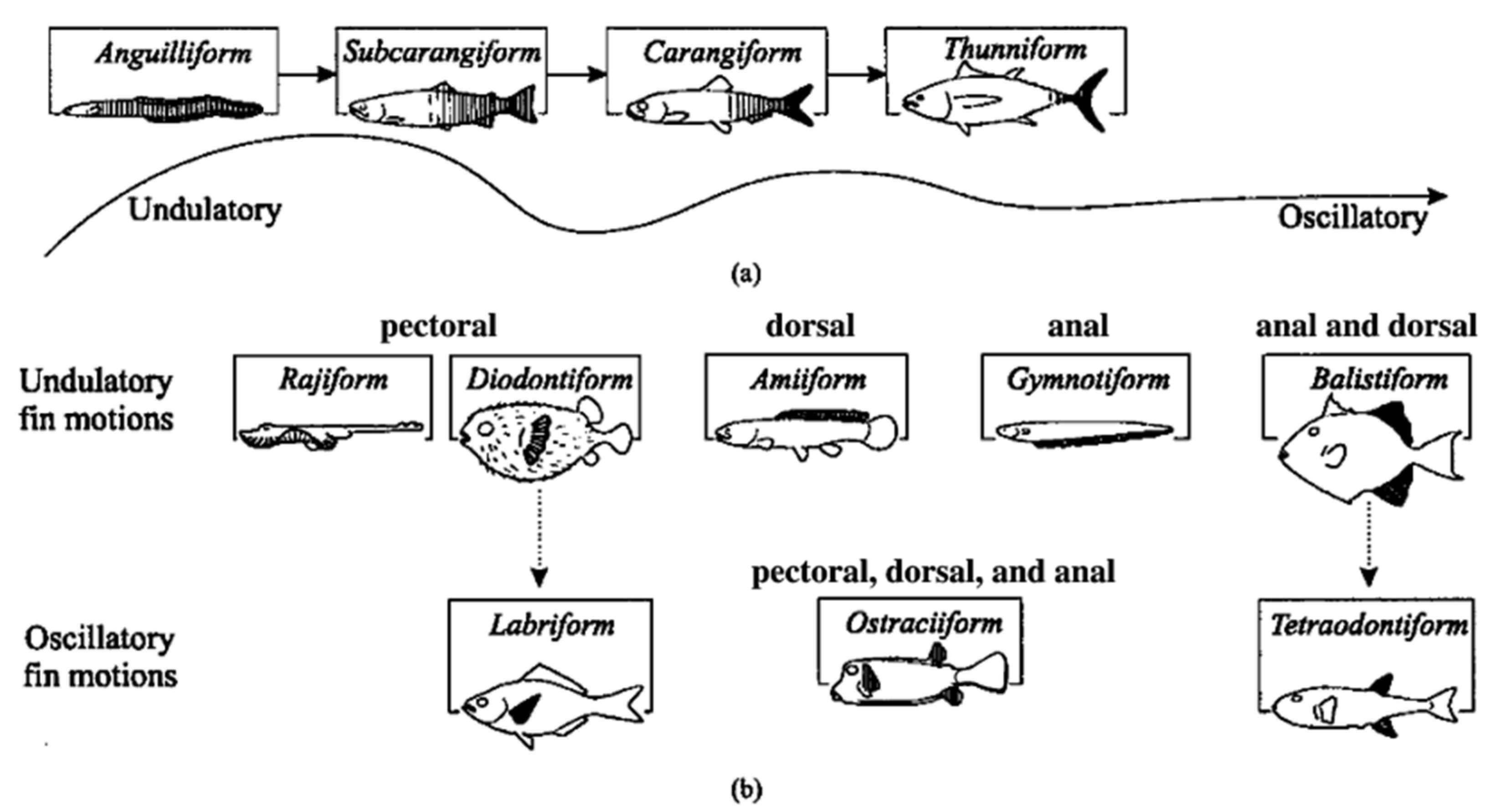 Jmse 10 01327 g001 550