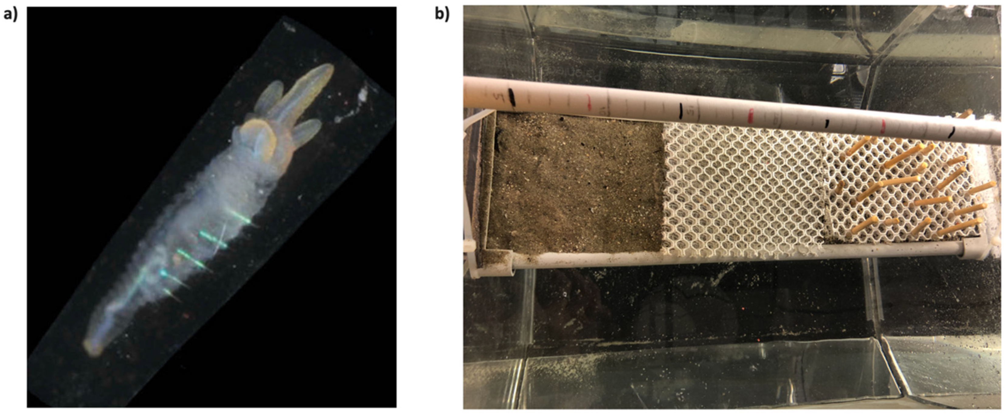 Jmse 10 01443 g007 Jmse 10 01443 g007
