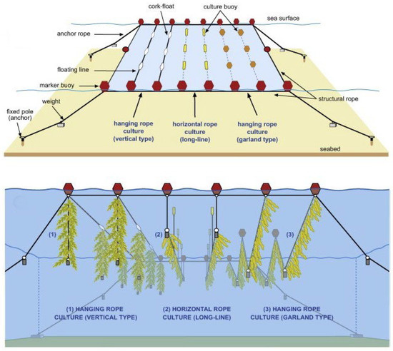 Jmse 10 01447 g003 550
