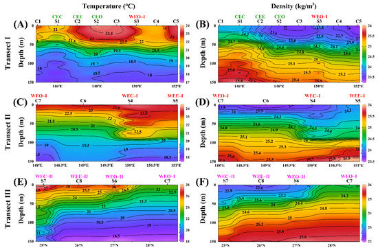 World Standard – Journal Standard BWD x MR PORTER X ZENITH HERITAGE 146 'SOLAR BLUE' – Bamford