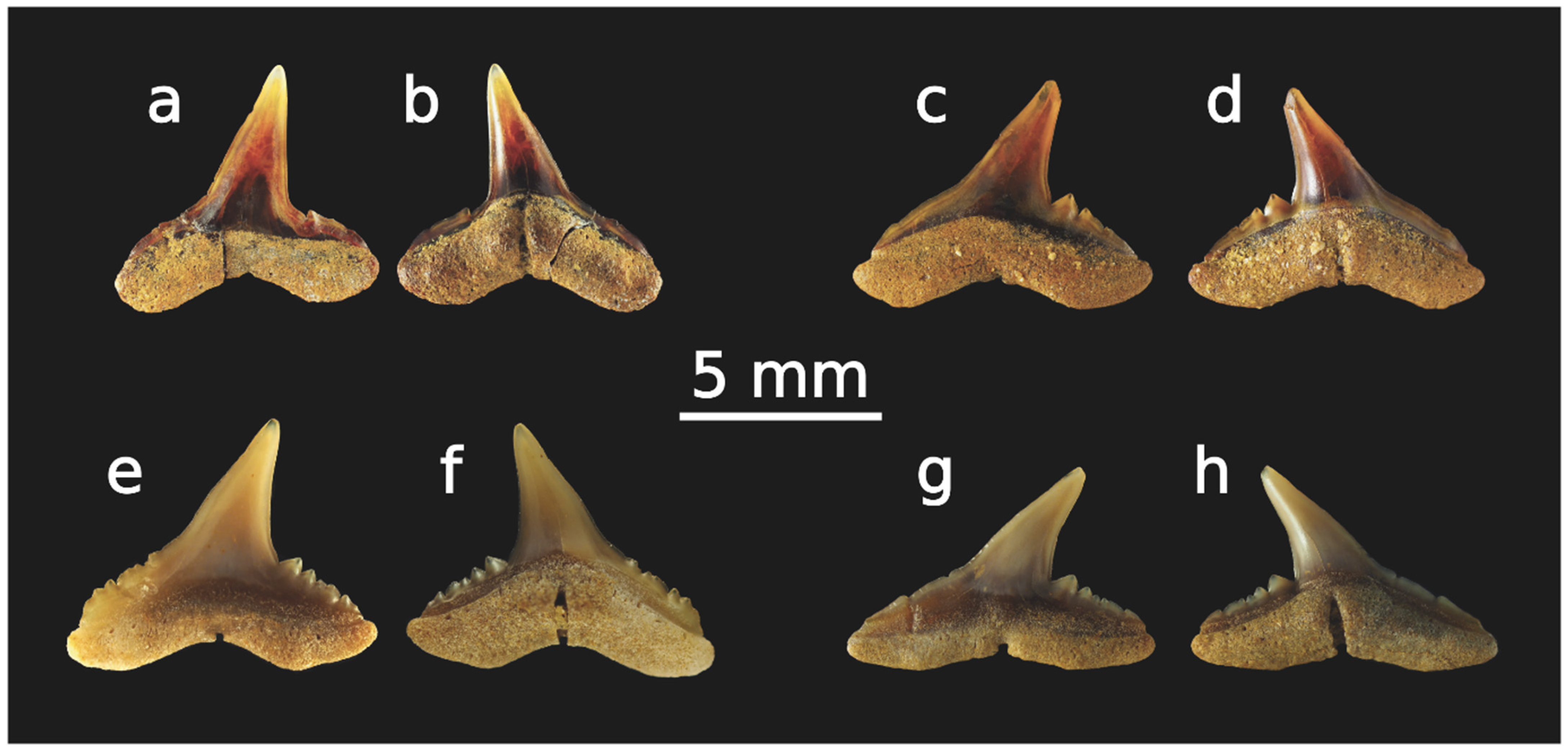 Jmse 10 01466 g004 Jmse 10 01466 g004