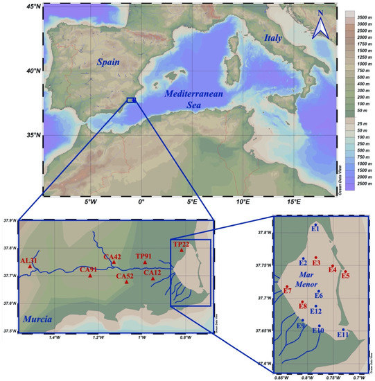 graphic_overview