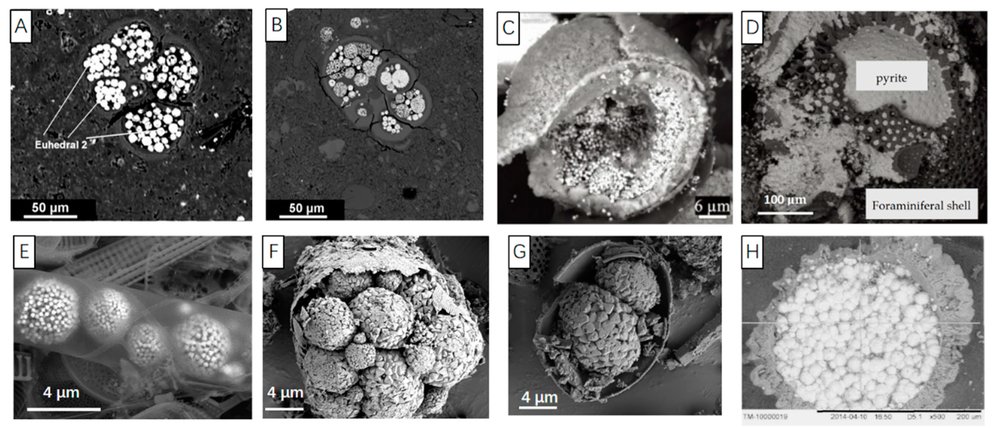 Jmse 10 01533 g006 Jmse 10 01533 g006