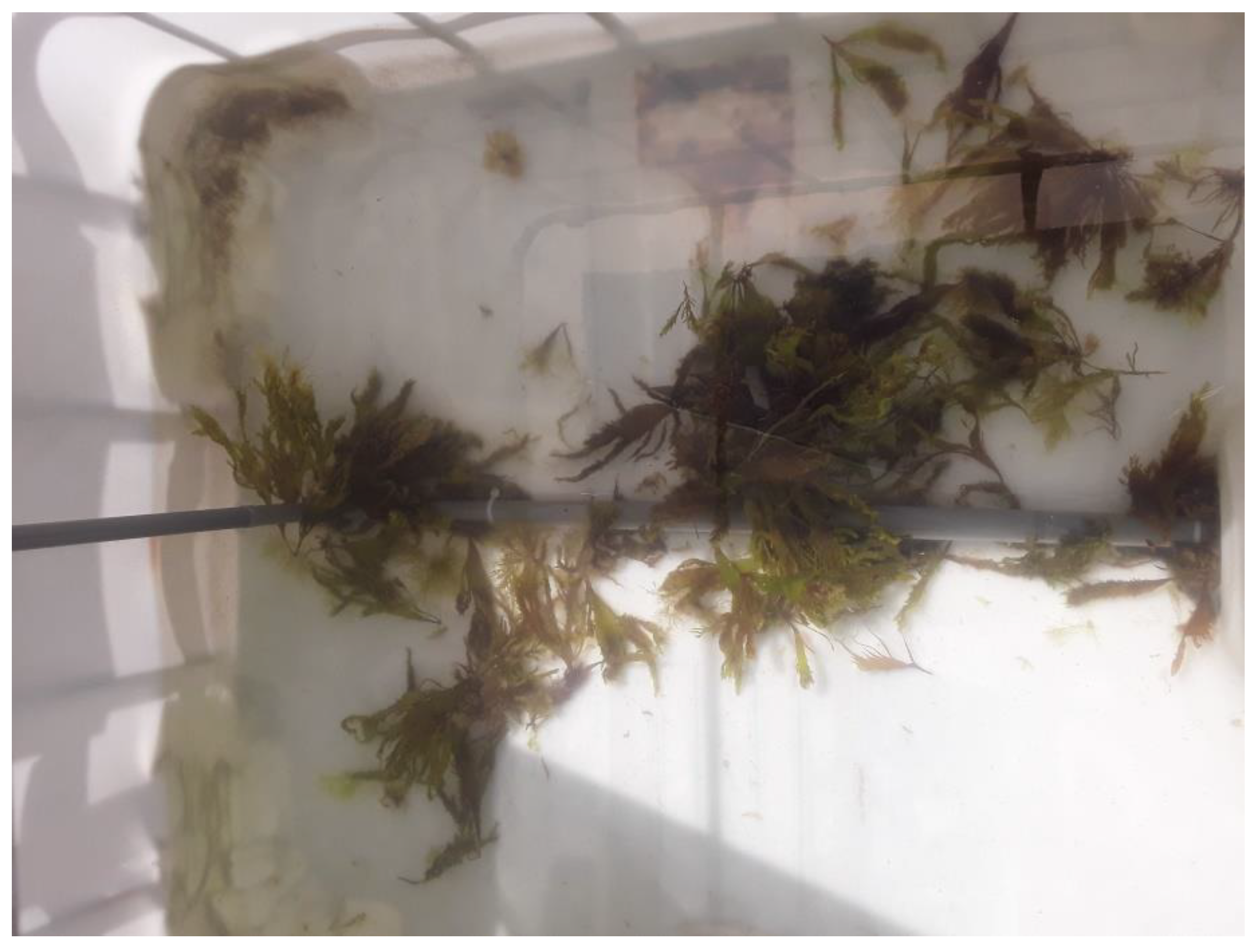 Cultivable coastal water species of Fishes, Crustaceans, Mollusks,  Seaweeds.pdf