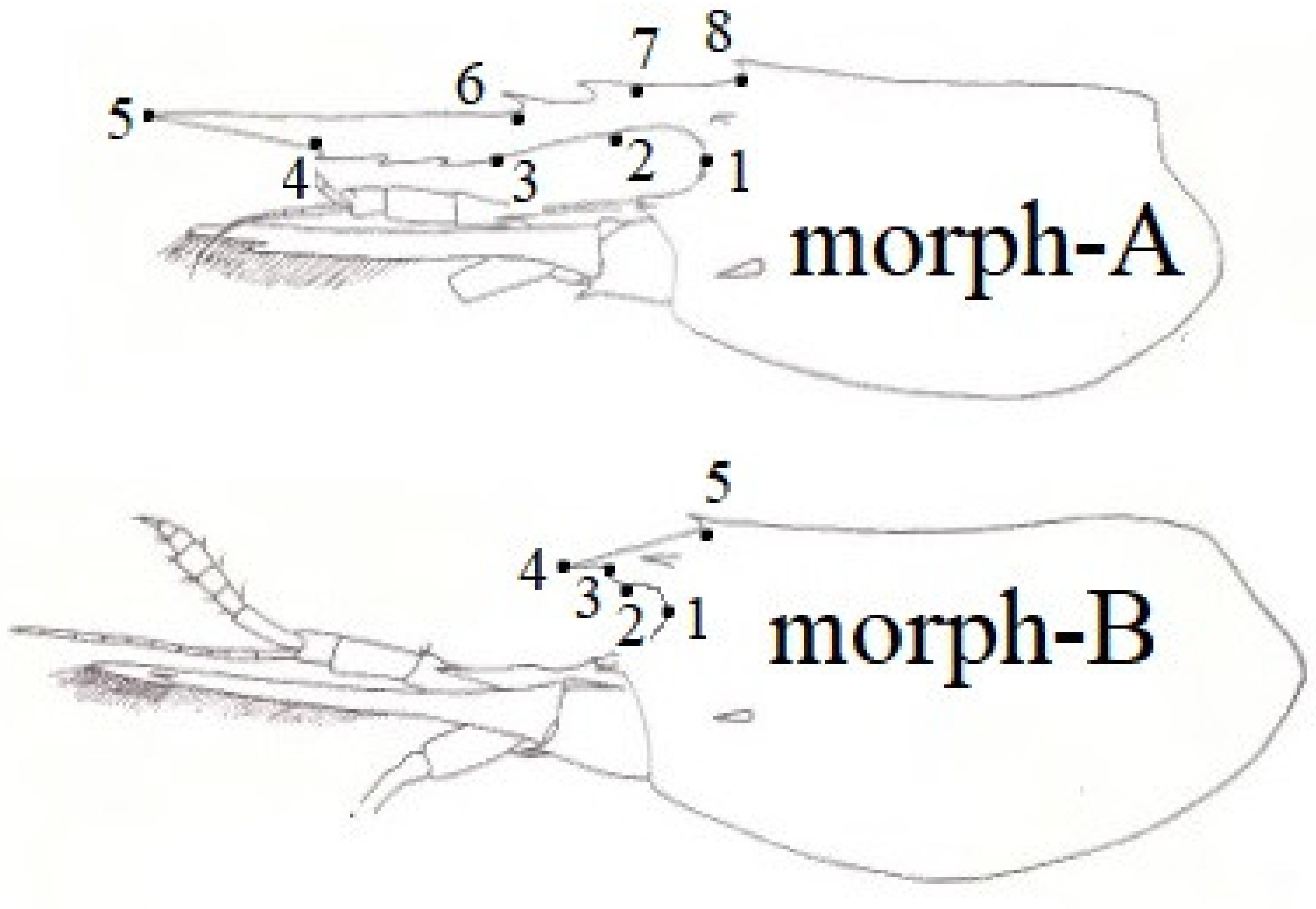 Jmse 10 01687 g002 Jmse 10 01687 g002