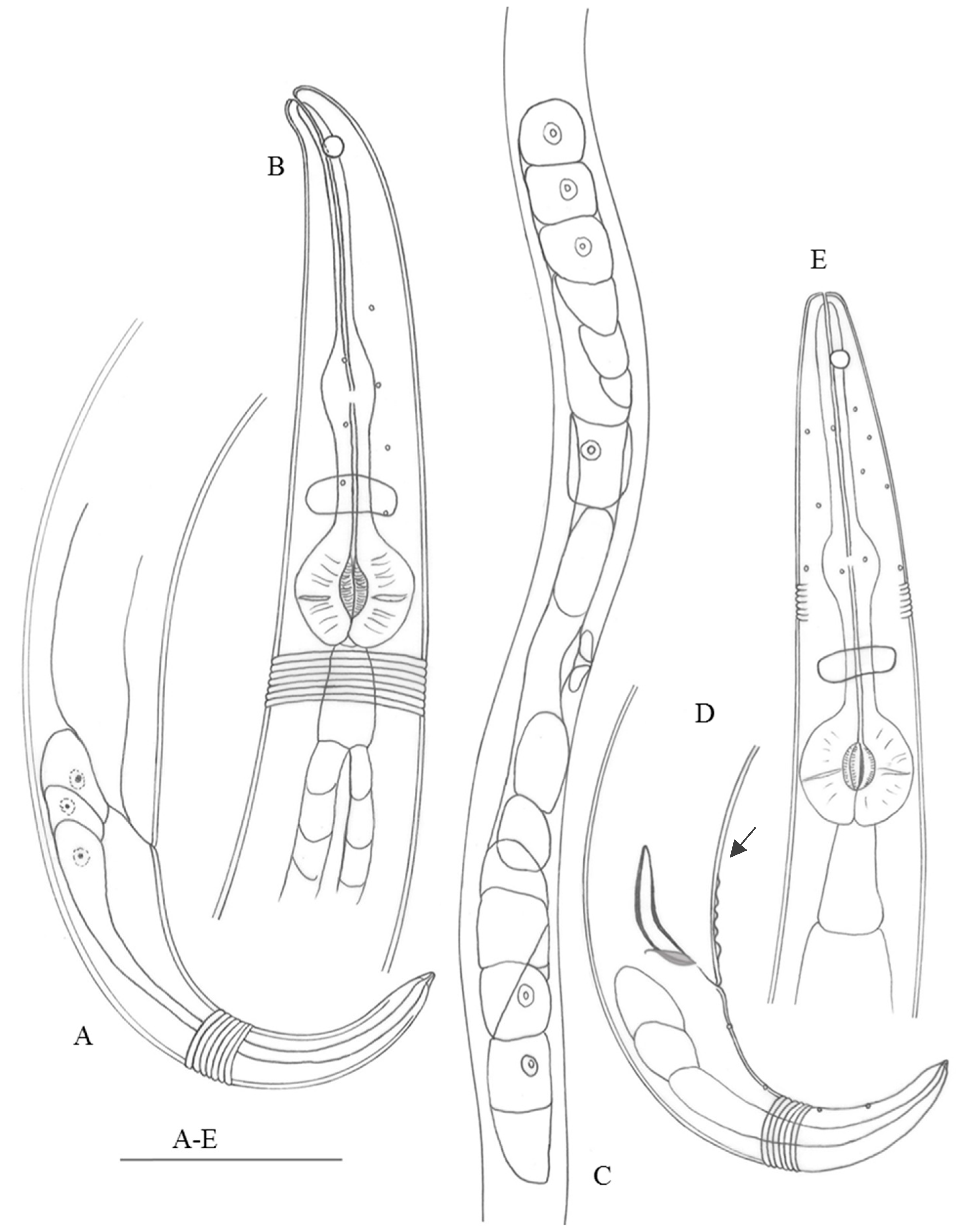 Jmse 10 01694 g001 Jmse 10 01694 g001
