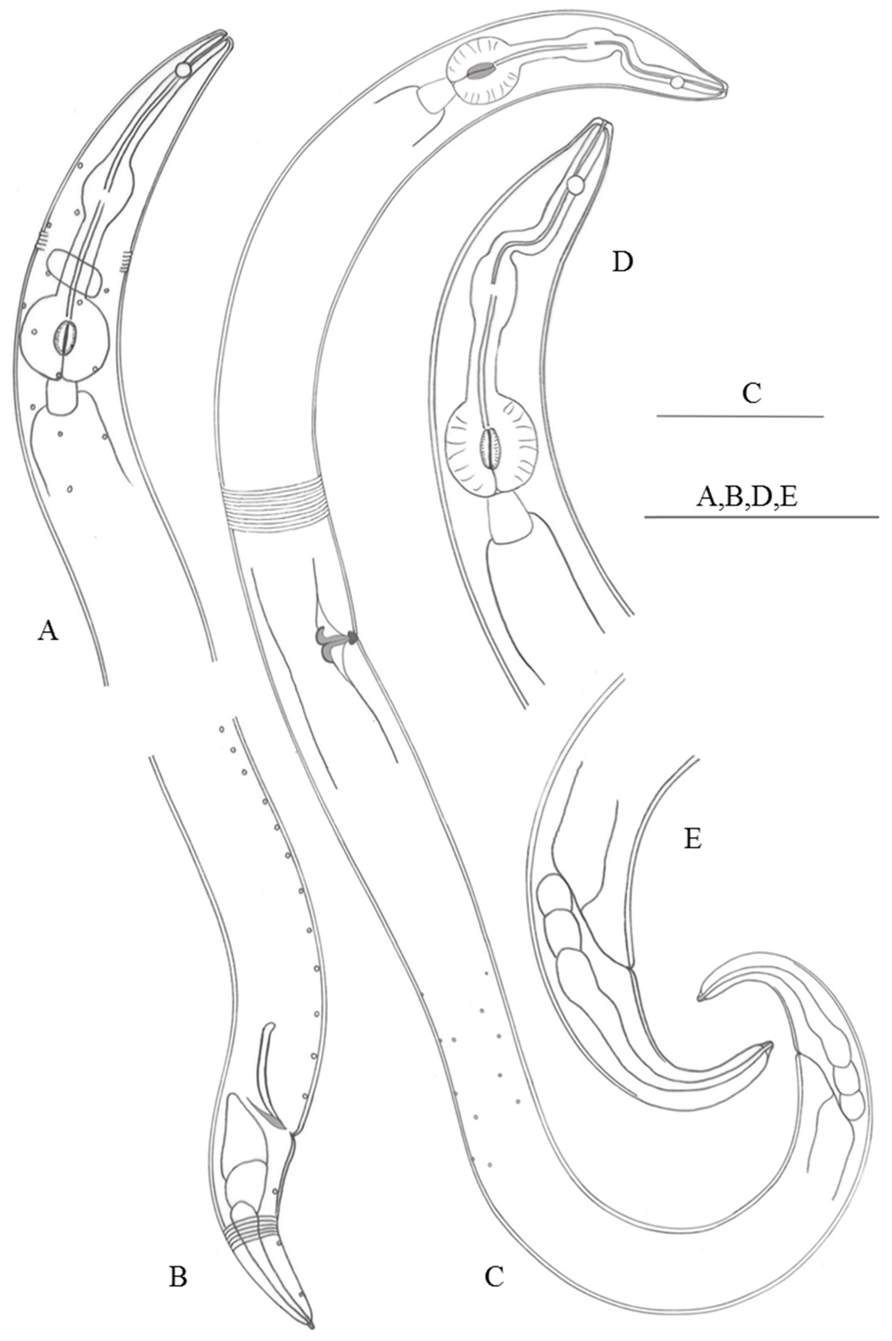 Jmse 10 01694 g003 Jmse 10 01694 g003