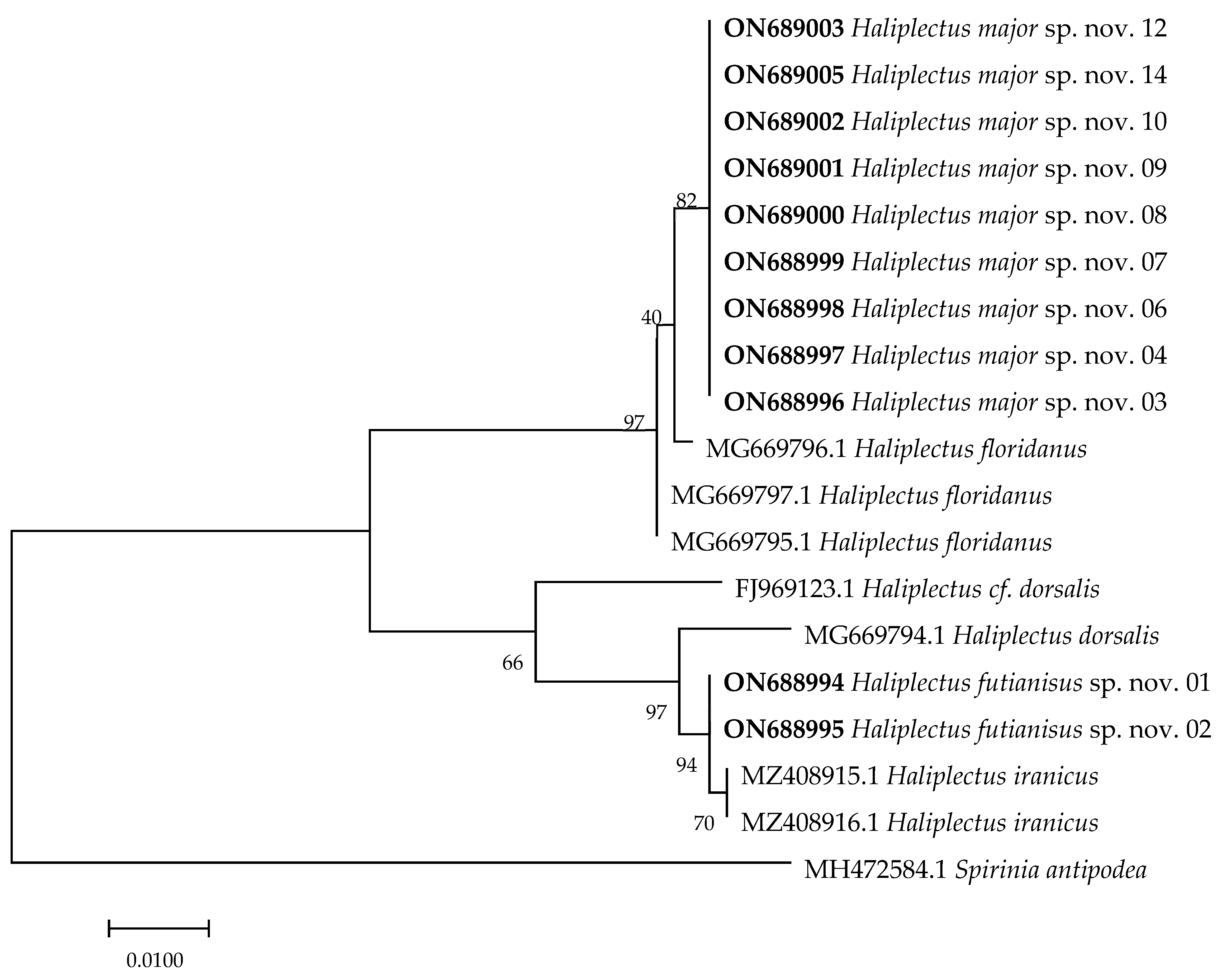 Jmse 10 01694 g005 Jmse 10 01694 g005