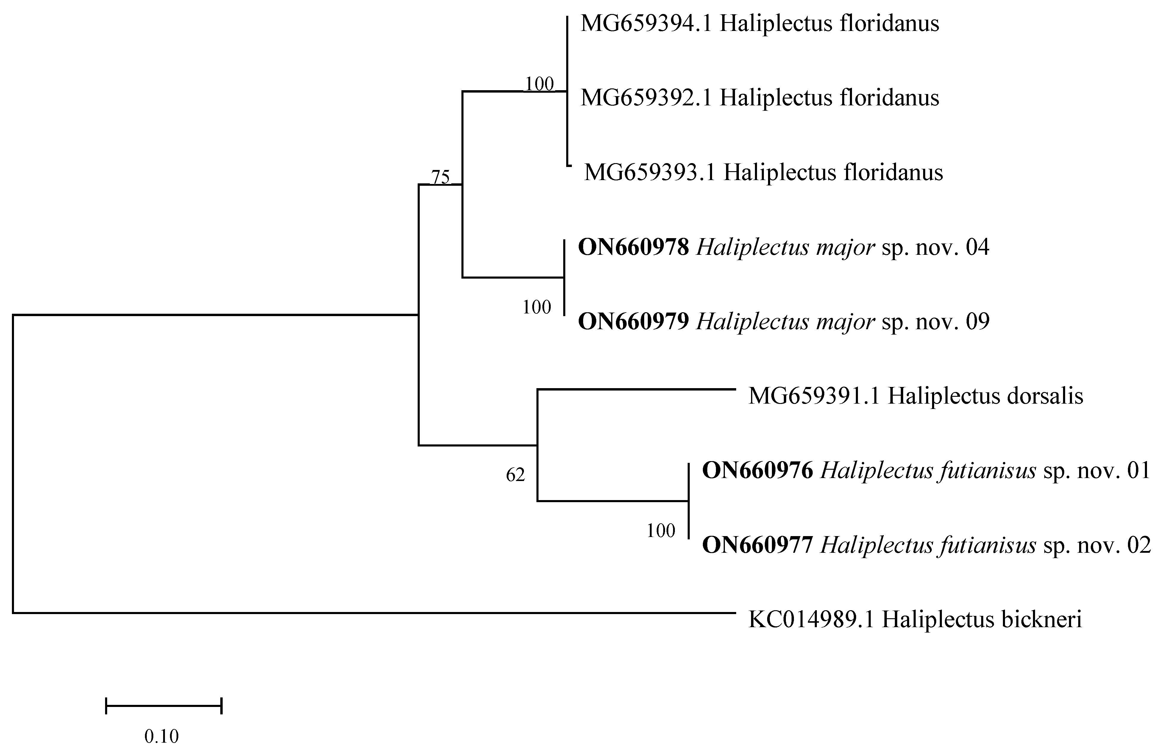 Jmse 10 01694 g006 Jmse 10 01694 g006
