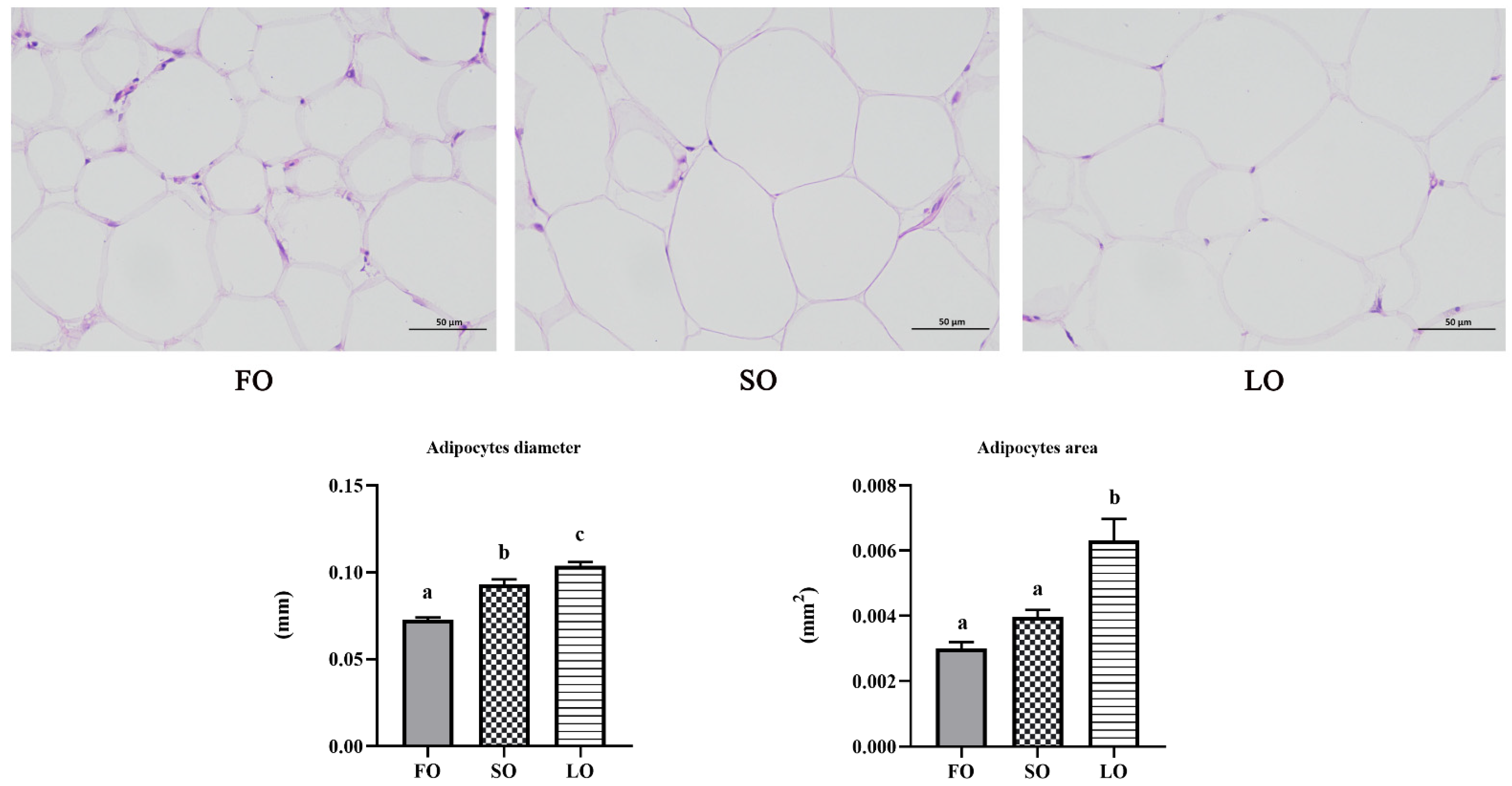 Jmse 10 01760 g002 Jmse 10 01760 g002