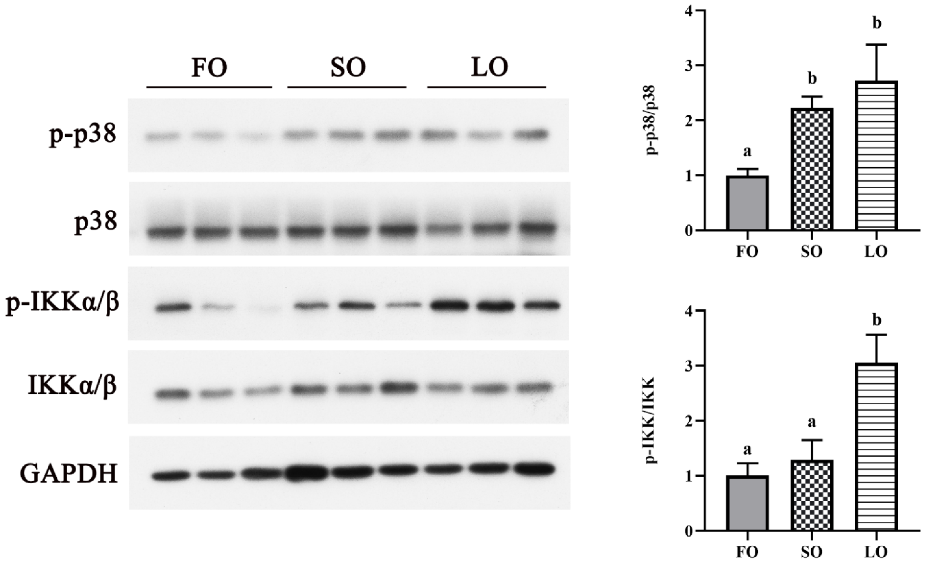 Jmse 10 01760 g005 Jmse 10 01760 g005