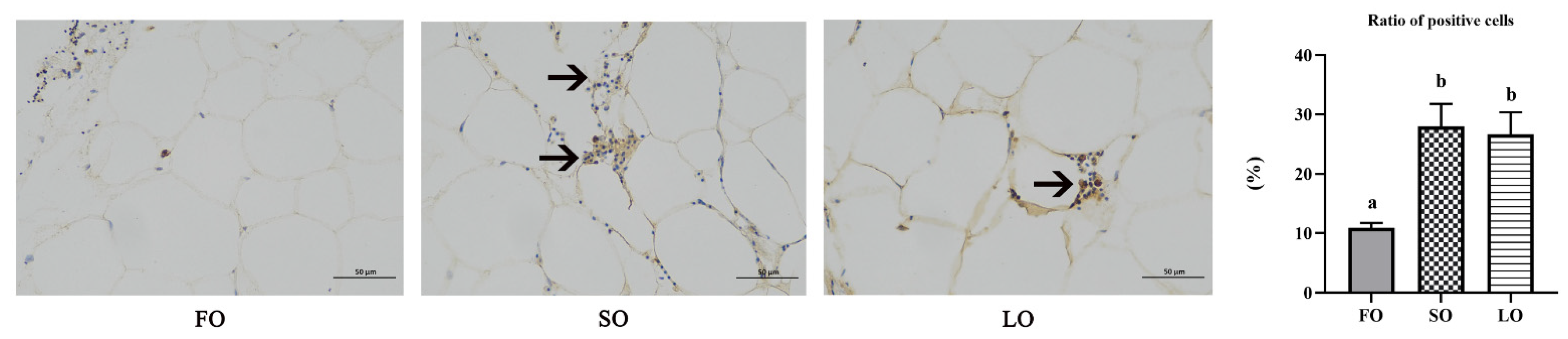 Jmse 10 01760 g006 Jmse 10 01760 g006