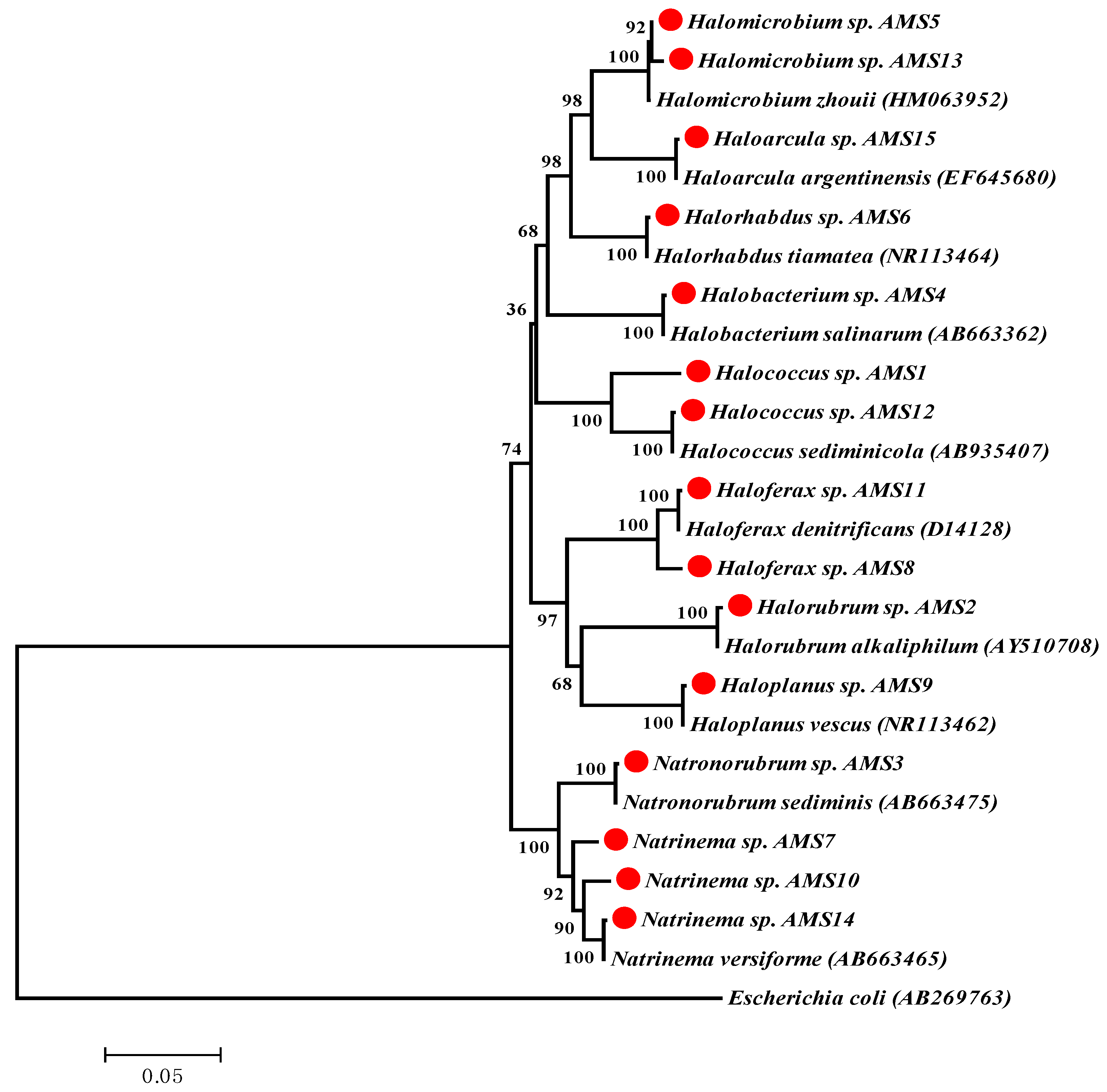 Jmse 10 01788 g003 Jmse 10 01788 g003