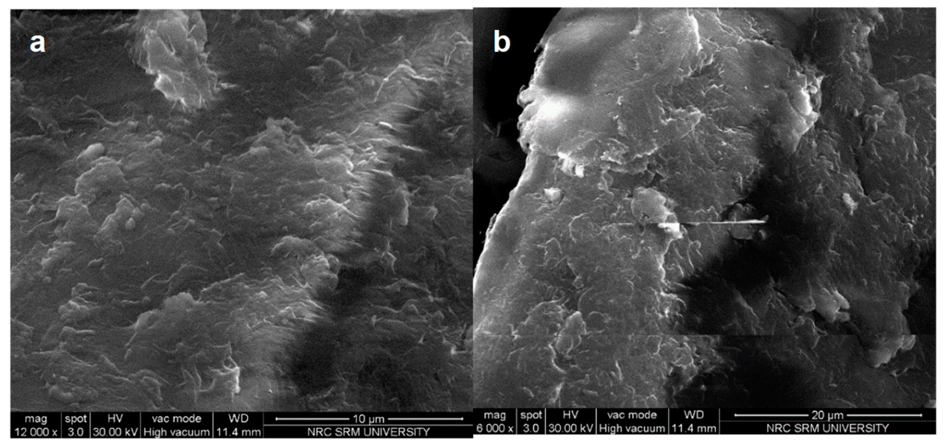 Jmse 10 01788 g007 Jmse 10 01788 g007