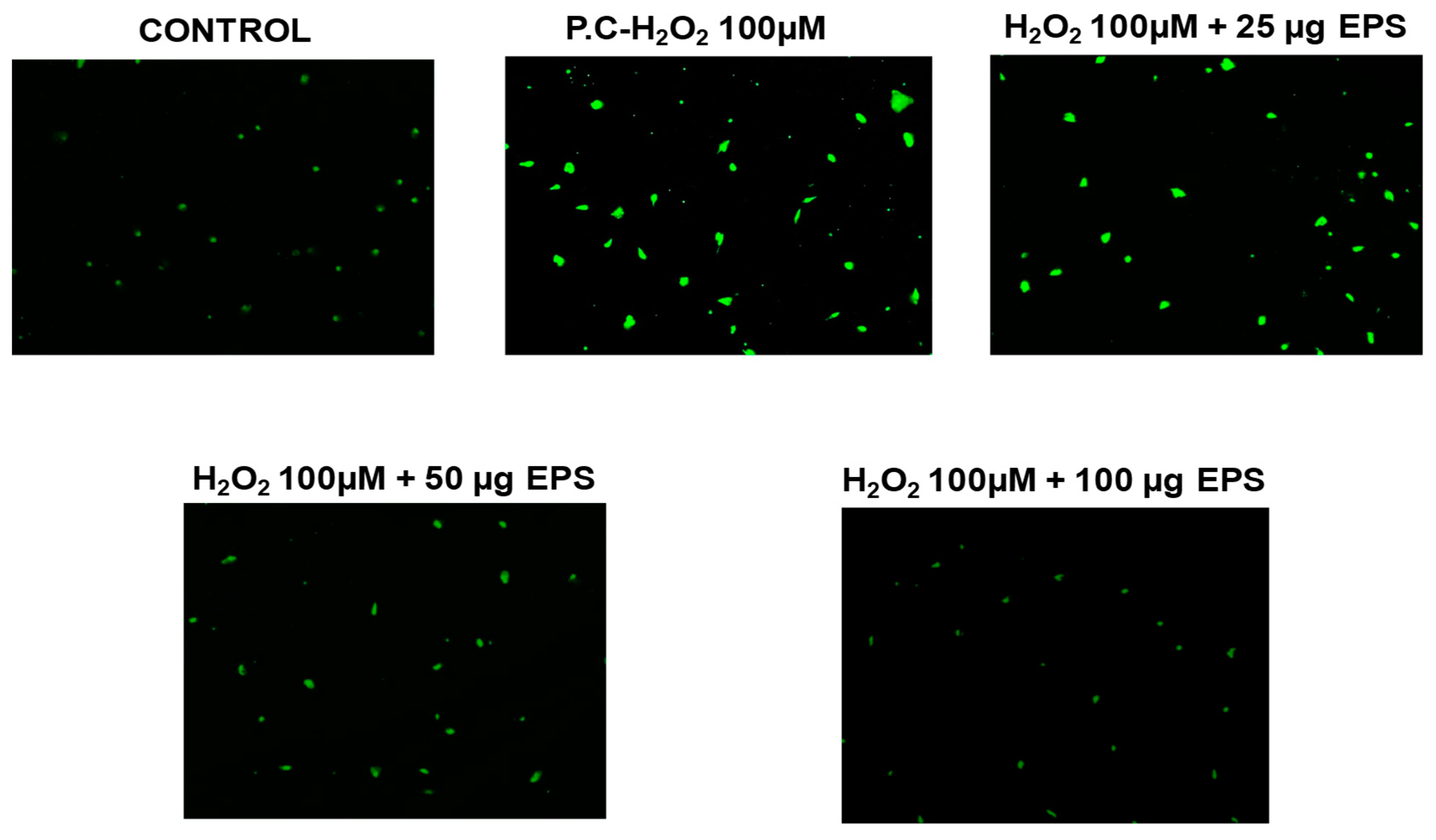 Jmse 10 01788 g011 Jmse 10 01788 g011