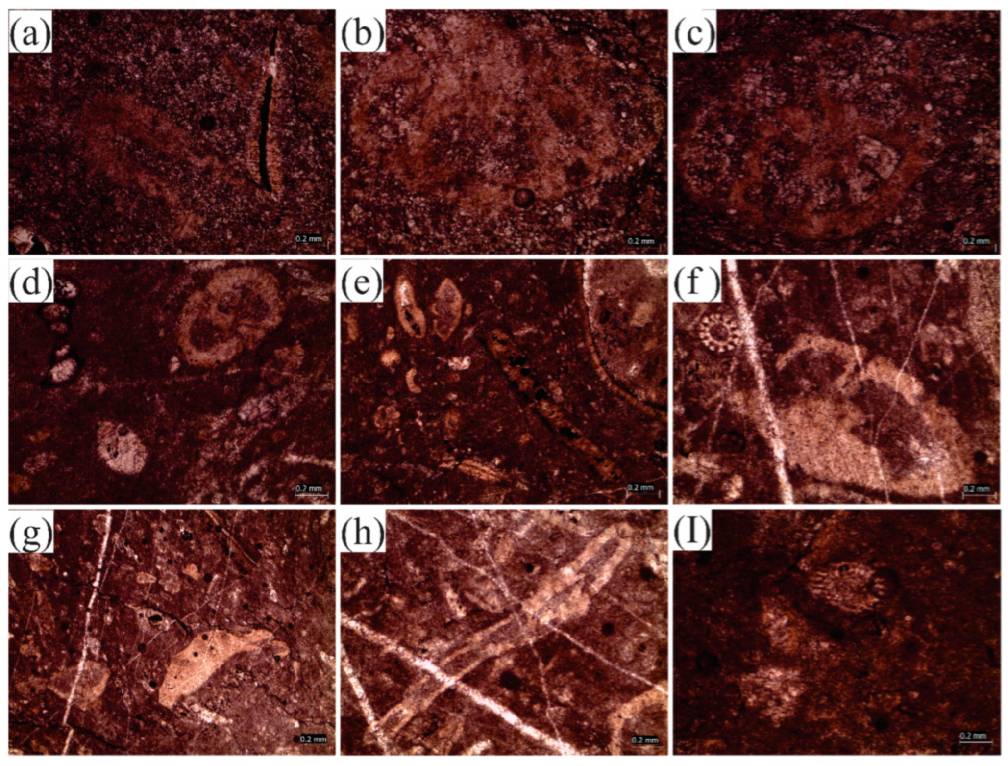 Jmse 10 01794 g005 Jmse 10 01794 g005