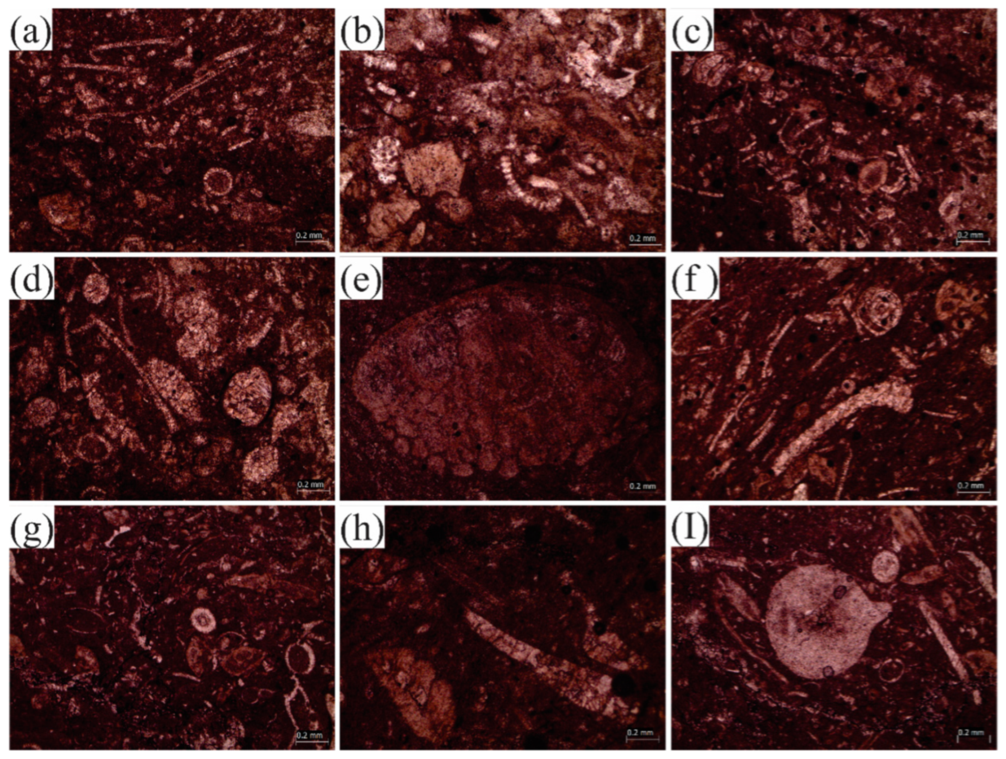 Jmse 10 01794 g006 Jmse 10 01794 g006