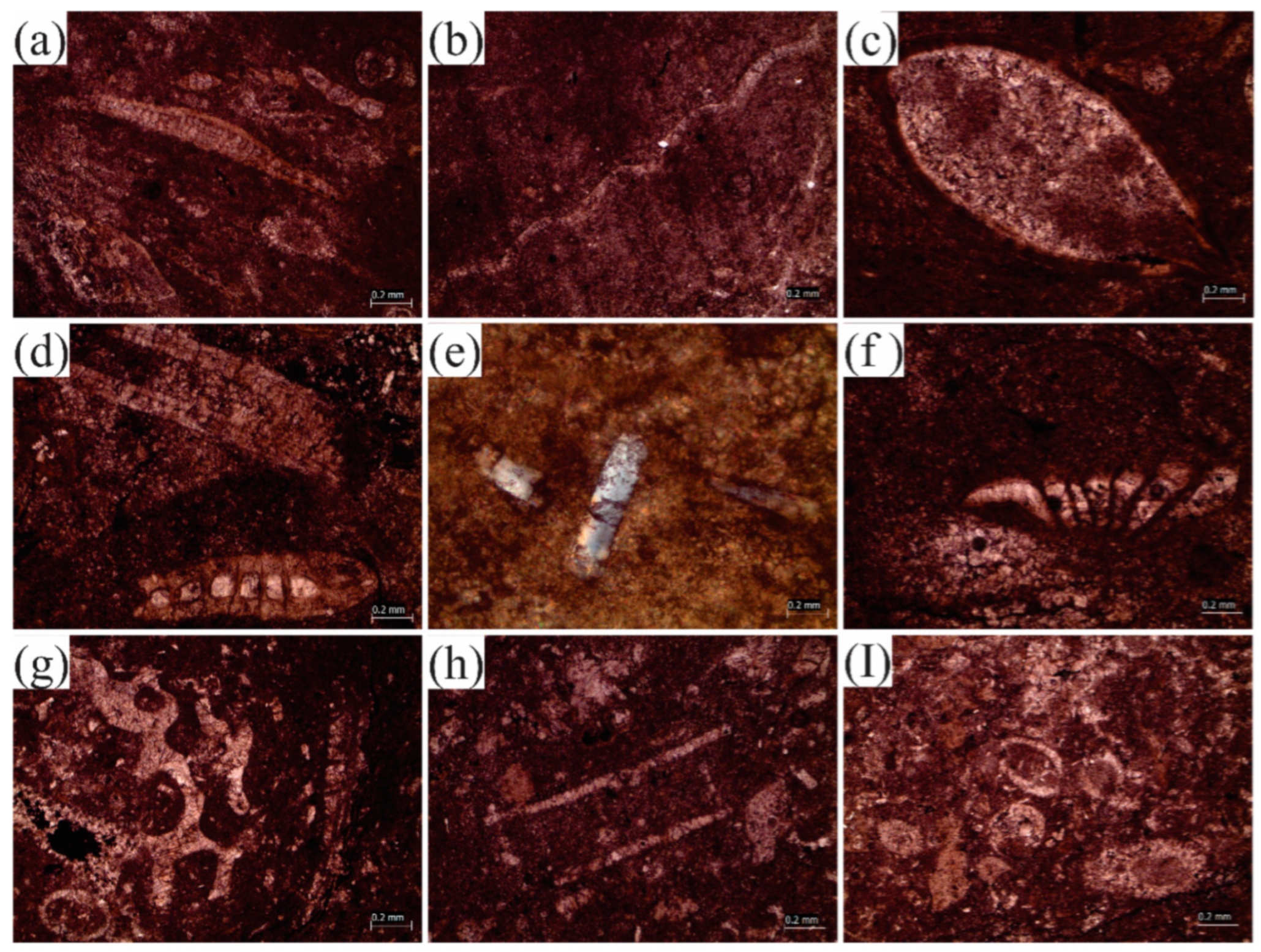 Jmse 10 01794 g007 Jmse 10 01794 g007