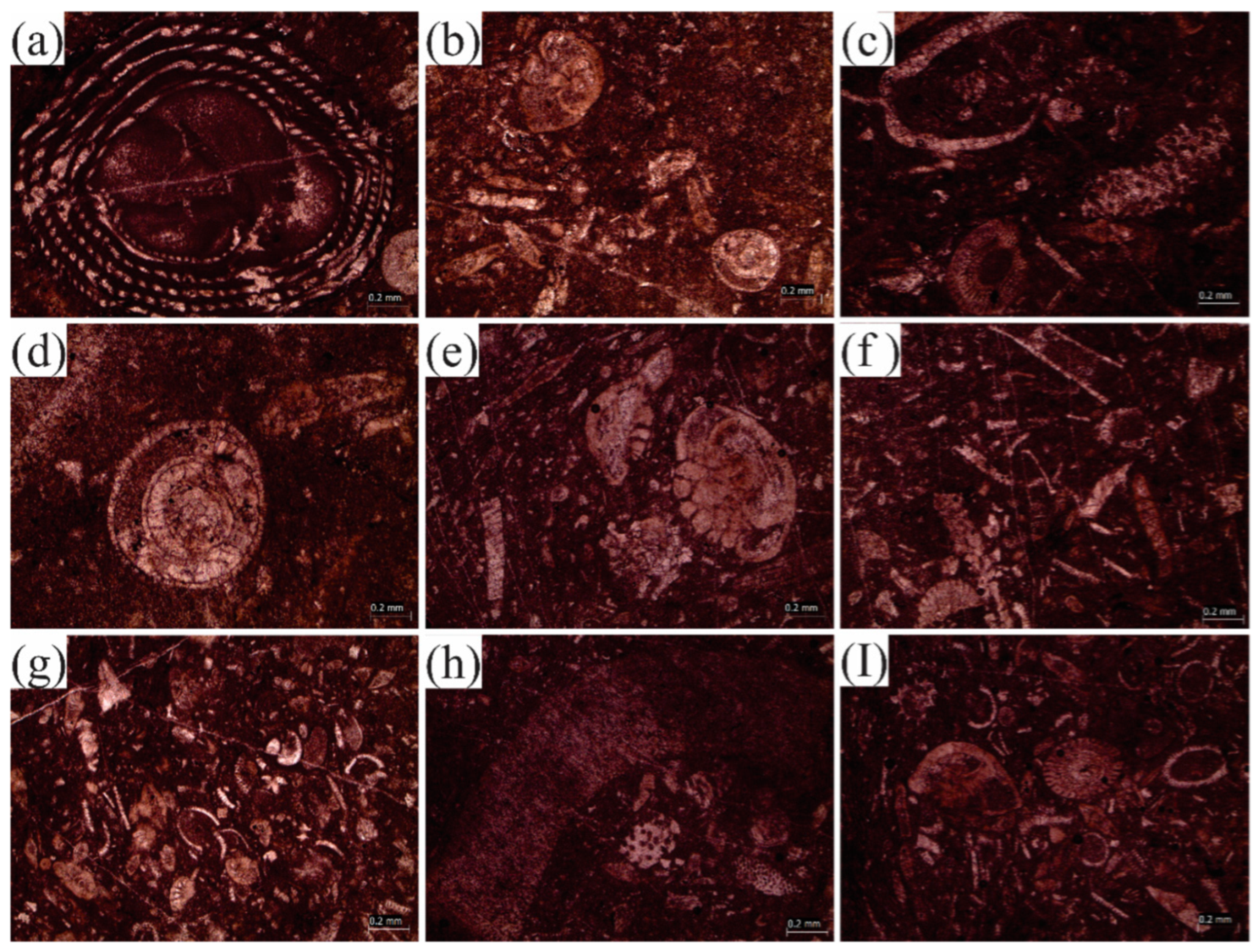Jmse 10 01794 g008 Jmse 10 01794 g008