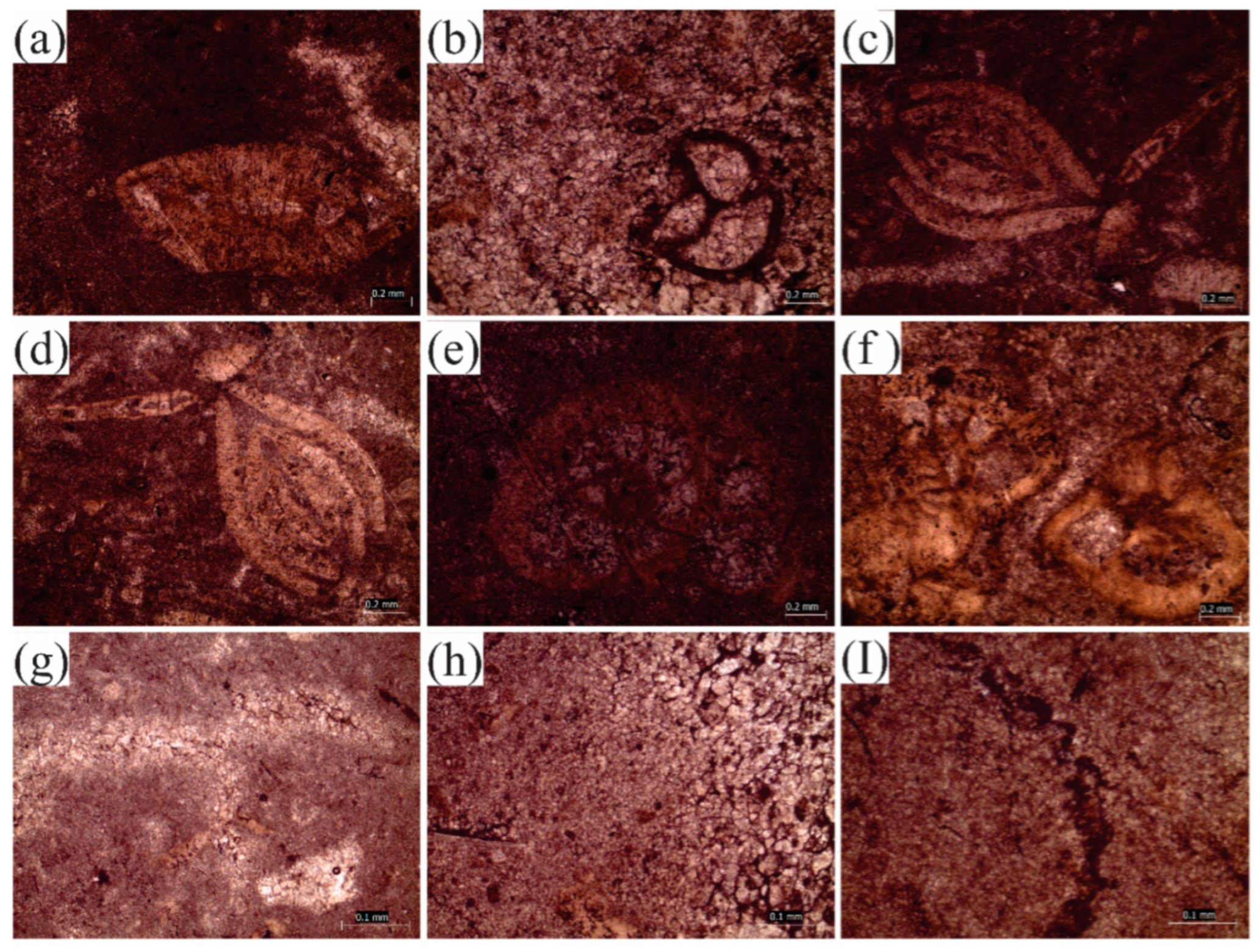 Jmse 10 01794 g009 Jmse 10 01794 g009