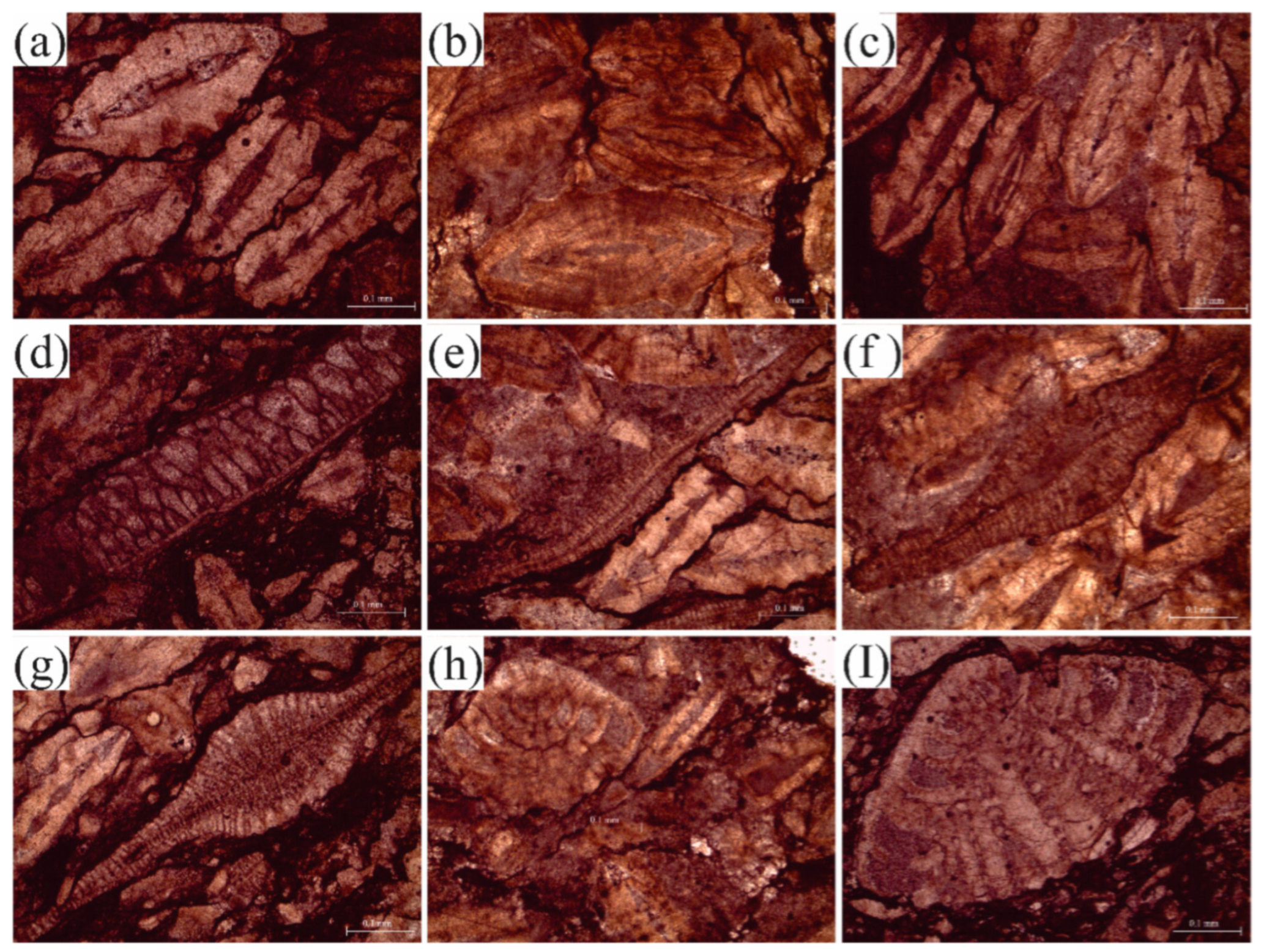 Jmse 10 01794 g011 Jmse 10 01794 g011